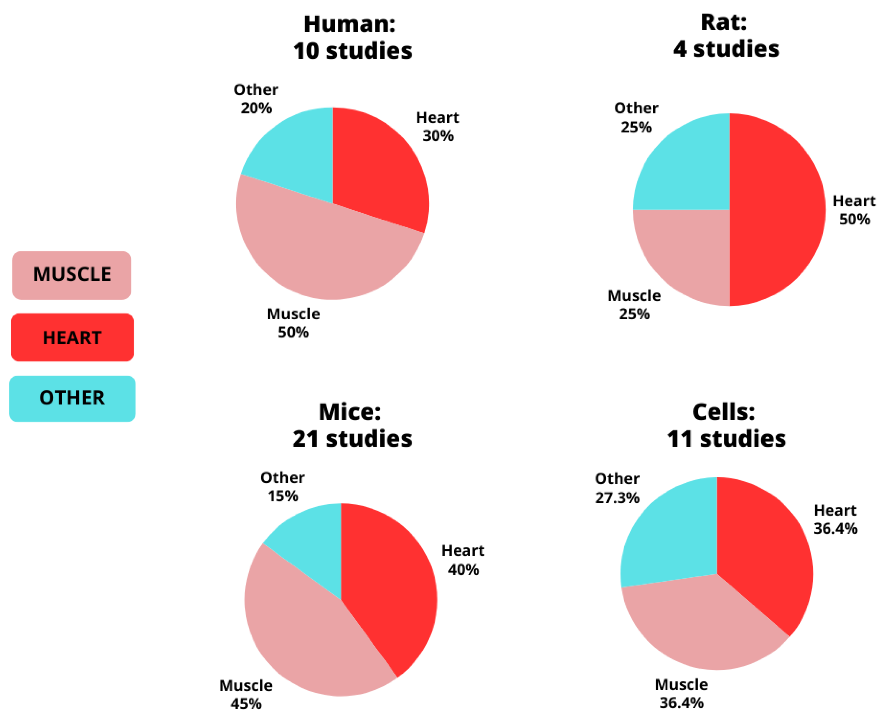 Genes 15 01305 g002