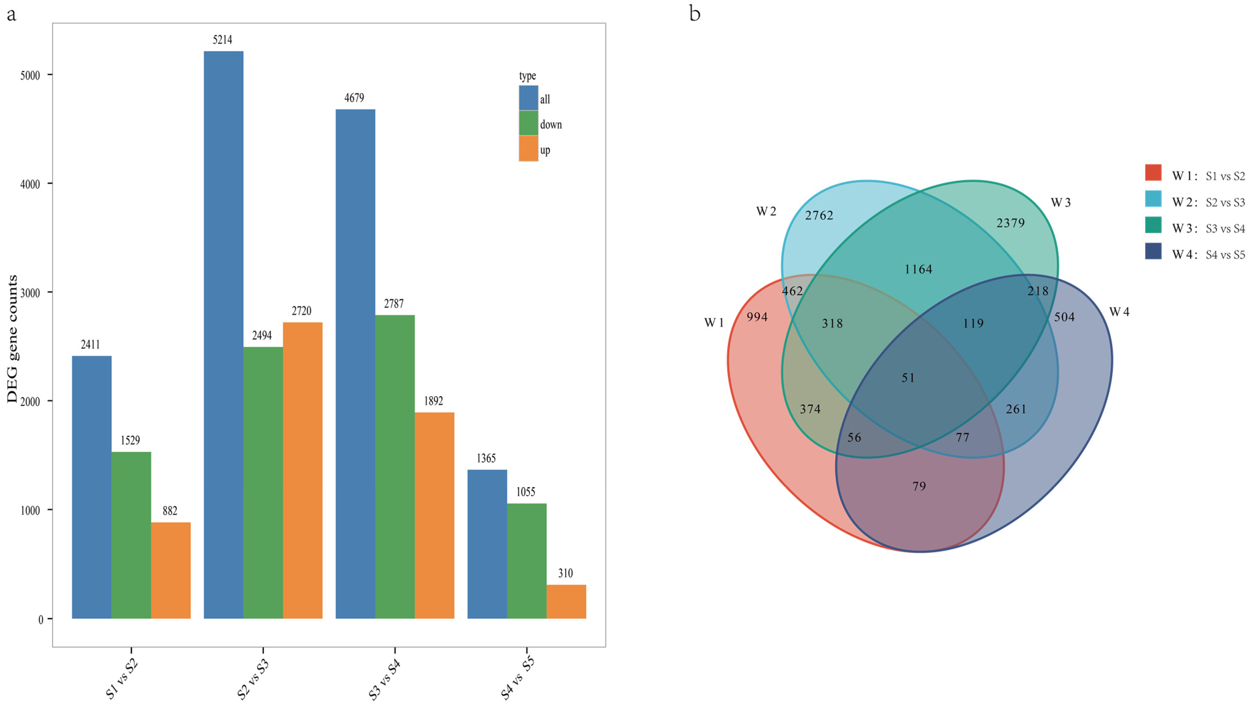 Genes 15 01319 g004 Genes 15 01319 g004