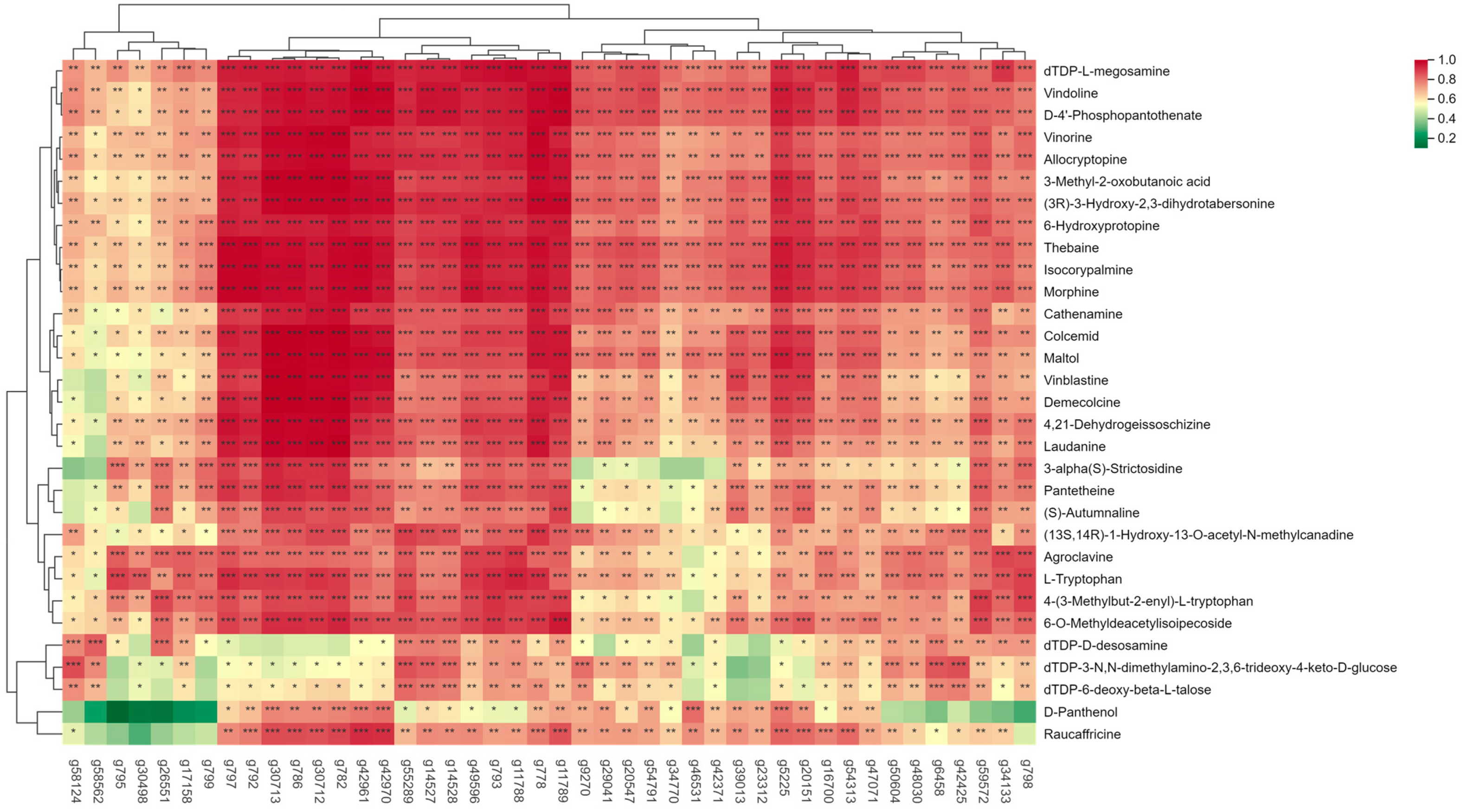 Genes 15 01319 g010 Genes 15 01319 g010