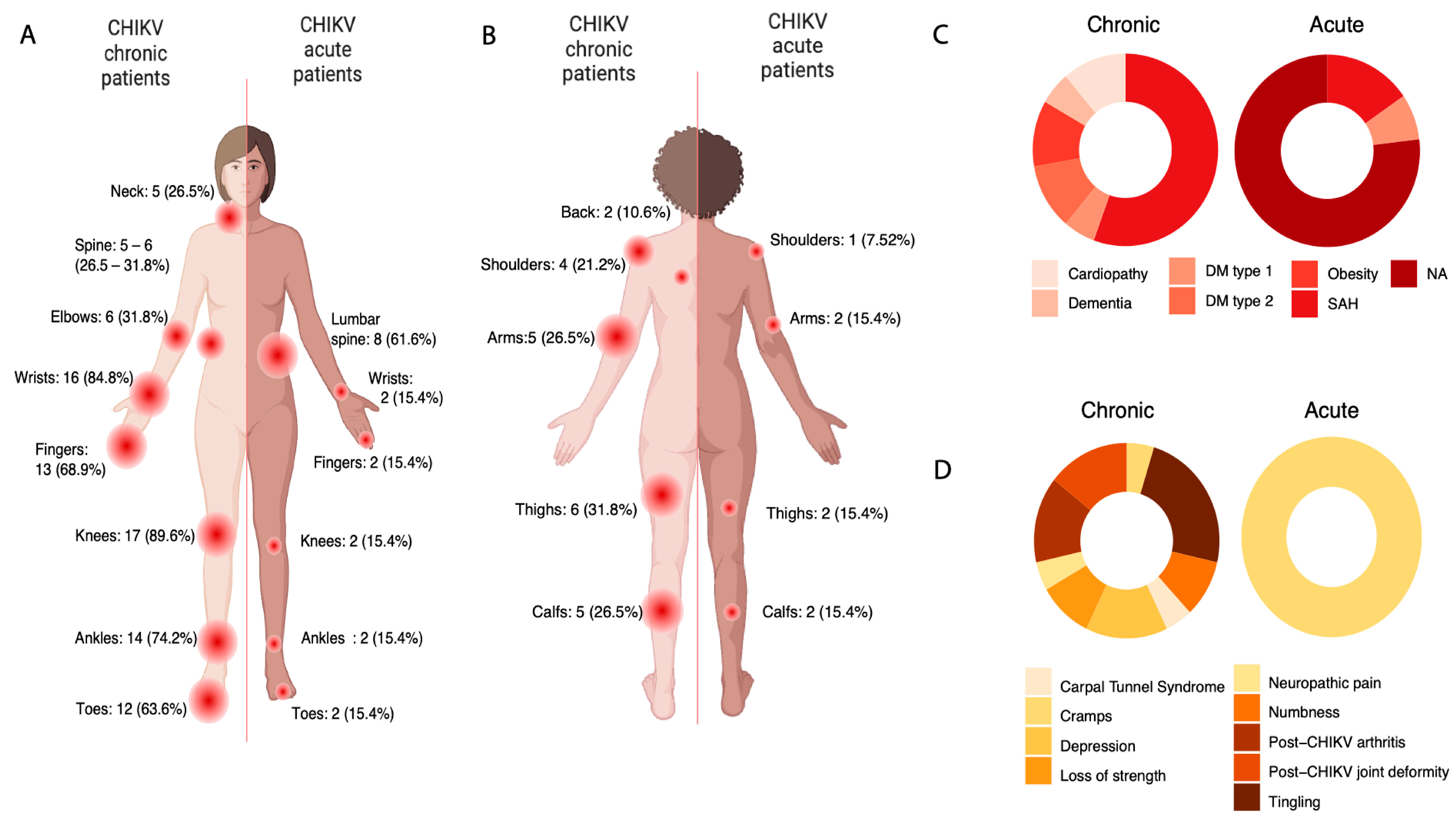 Genes 15 01365 g001