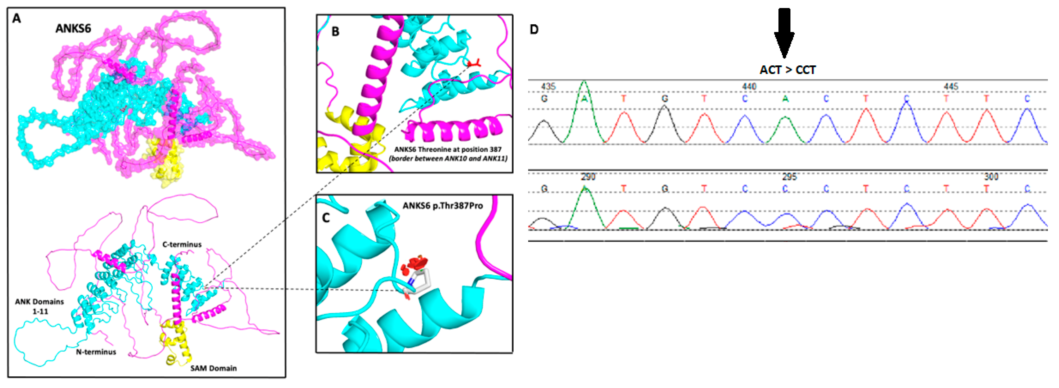 Genes 15 01374 g002