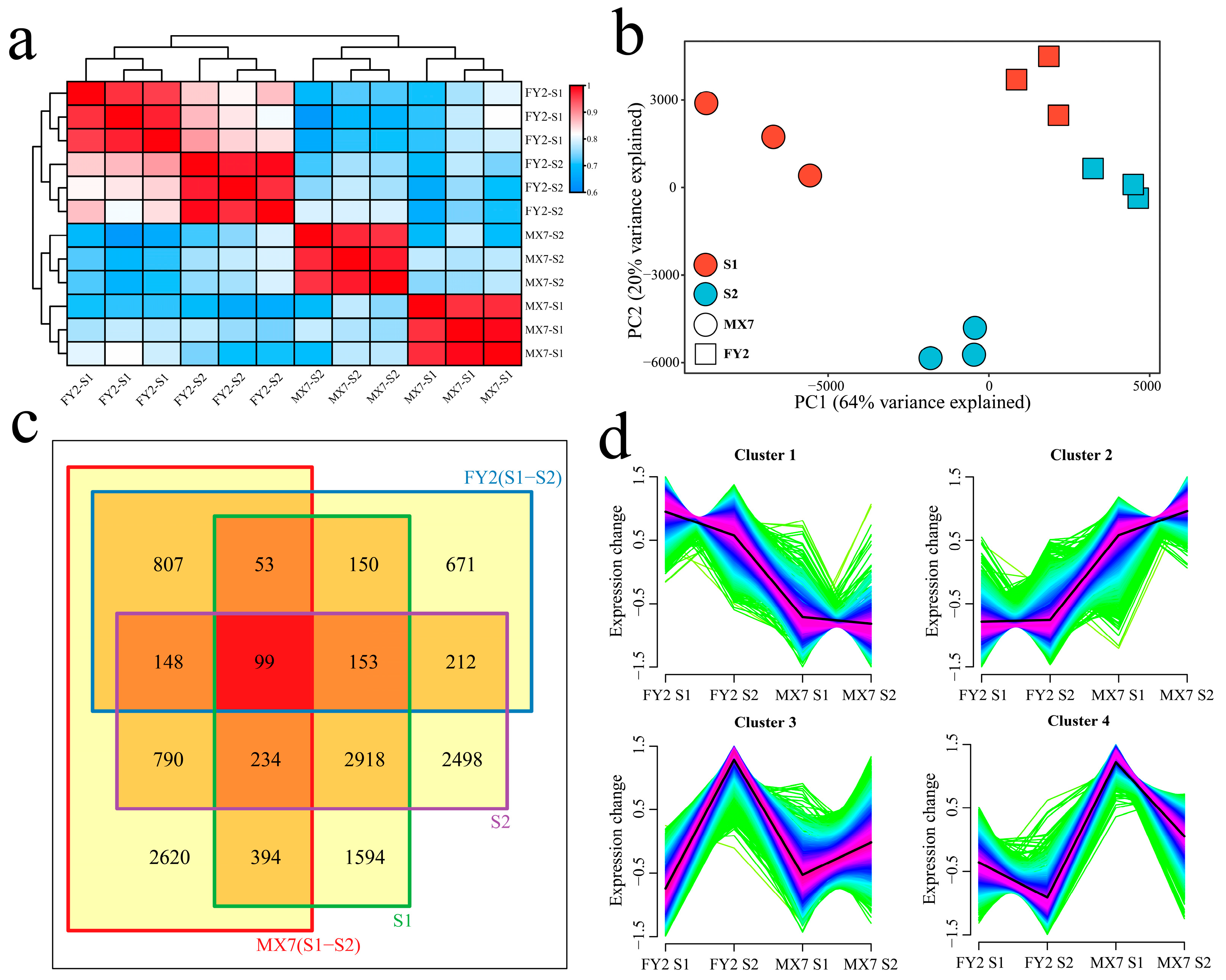 Genes 15 01391 g002