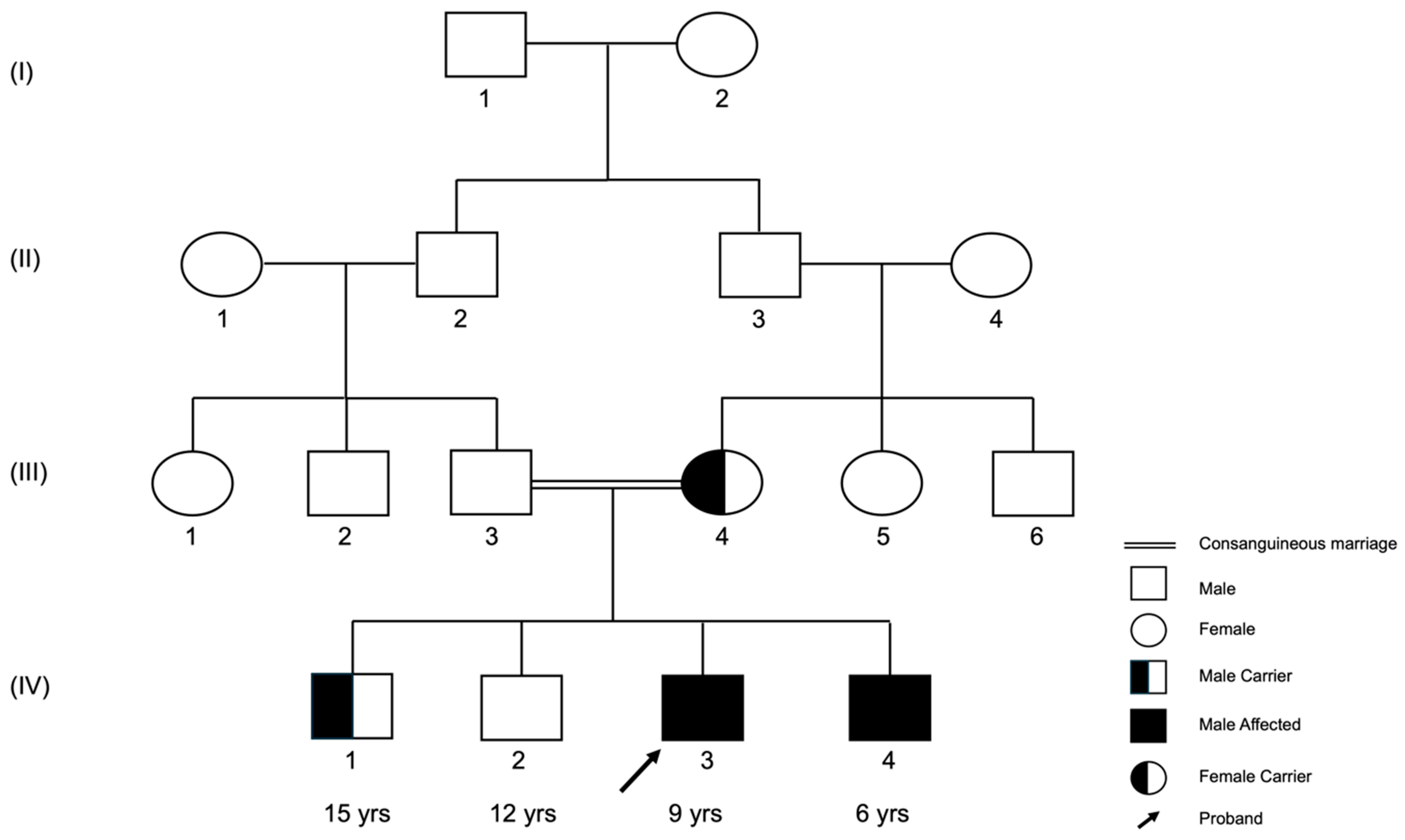 Genes 15 01405 g001