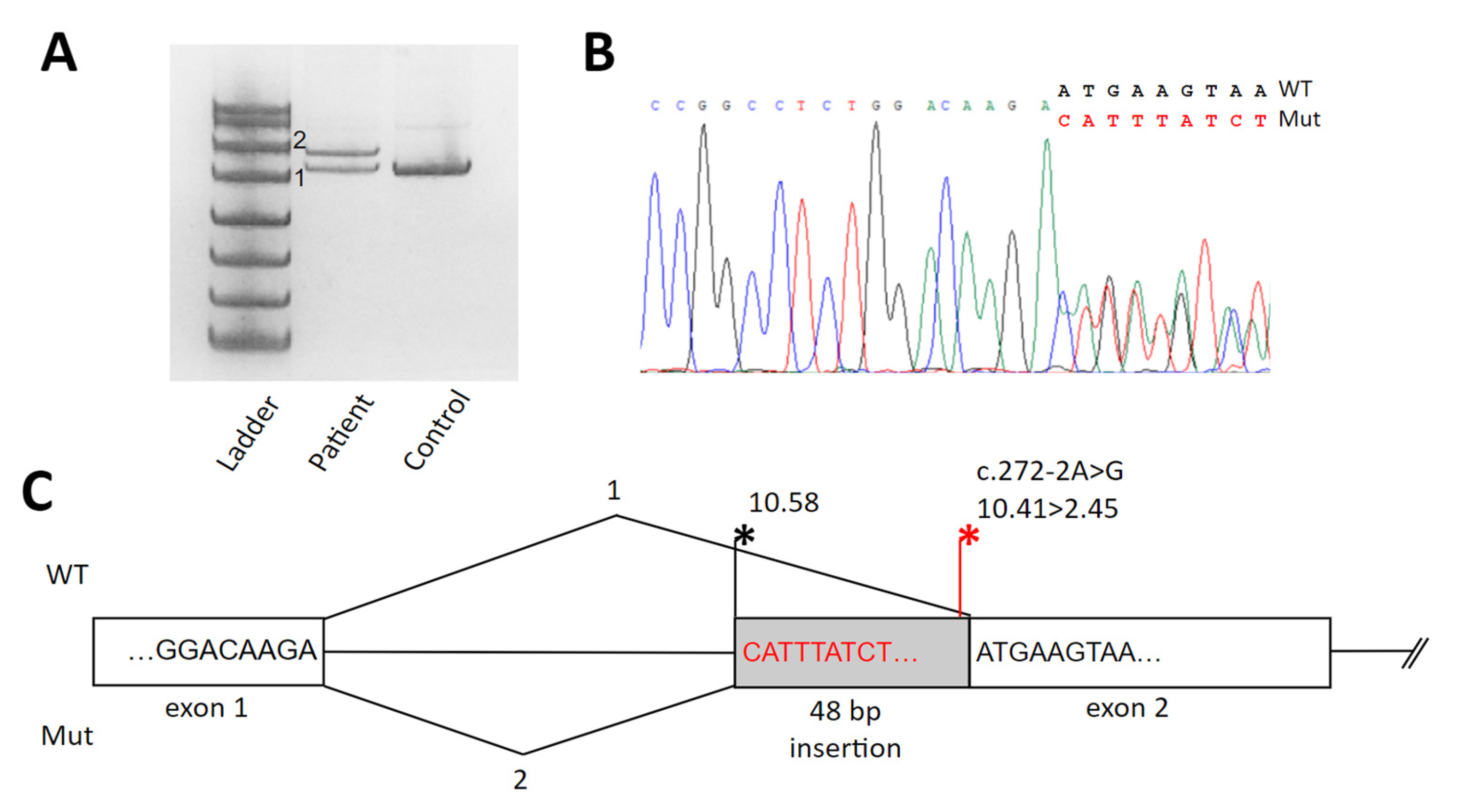 Genes 15 01406 g003