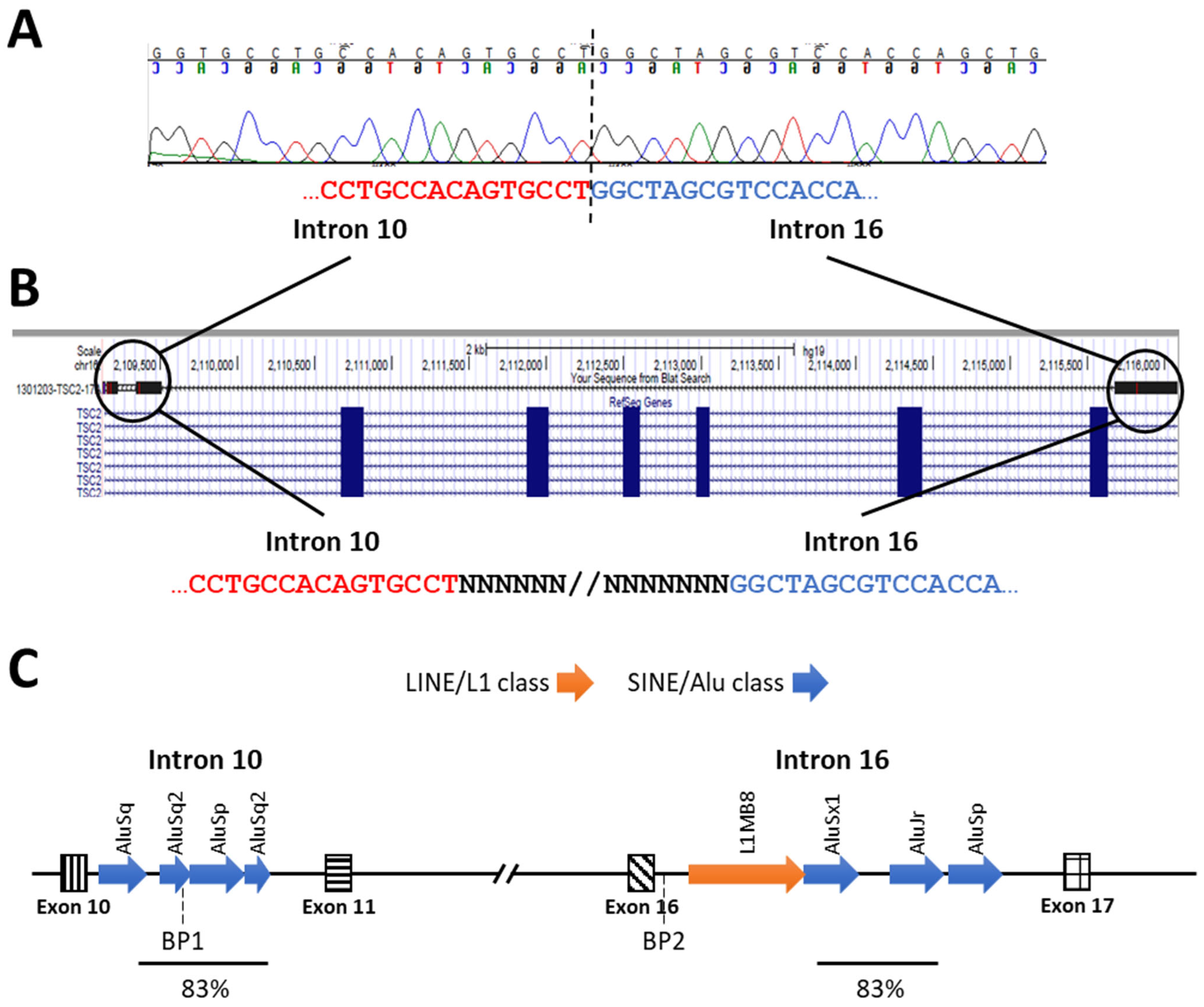 Genes 15 01432 g003