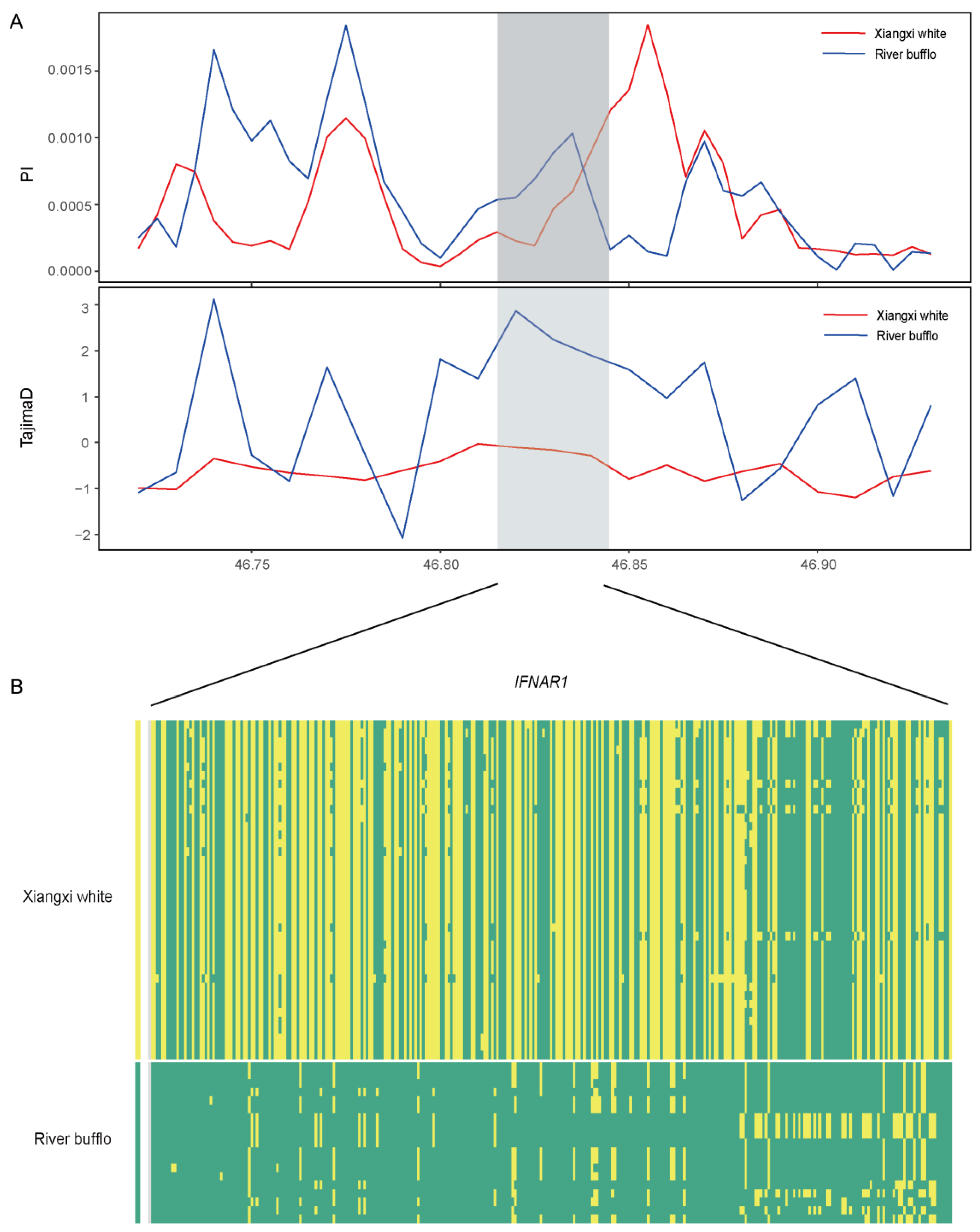 Genes 15 01450 g004