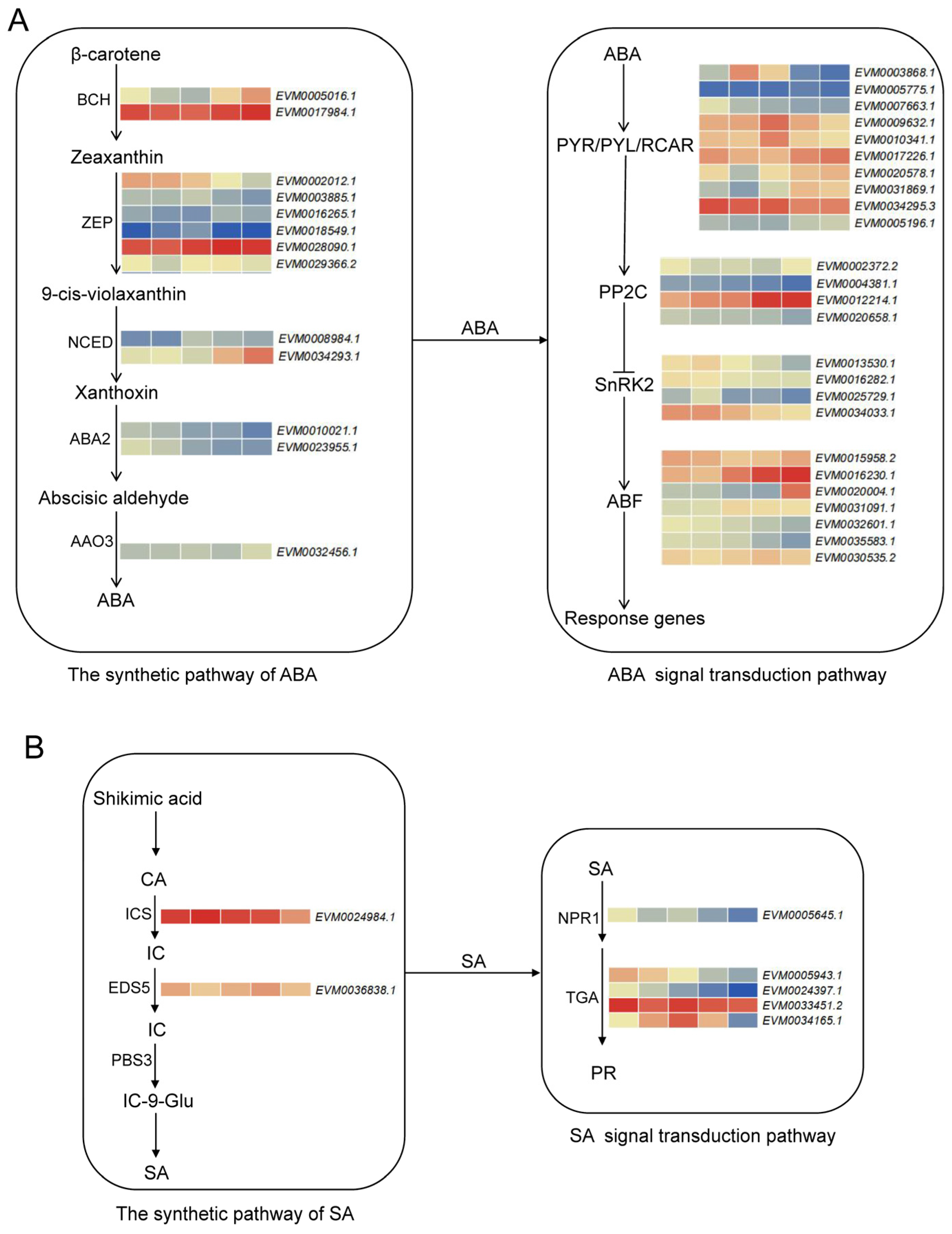 Genes 15 01465 g005