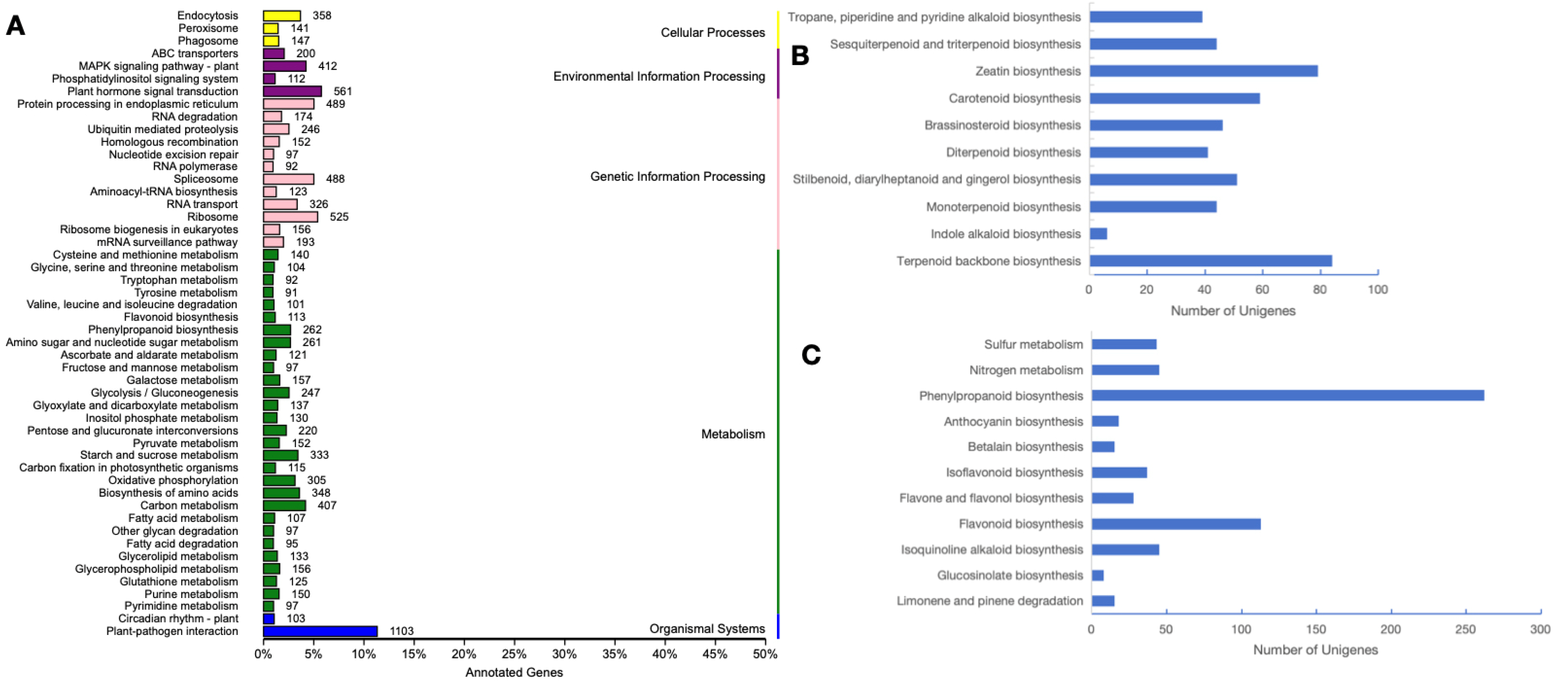 Genes 15 01482 g002