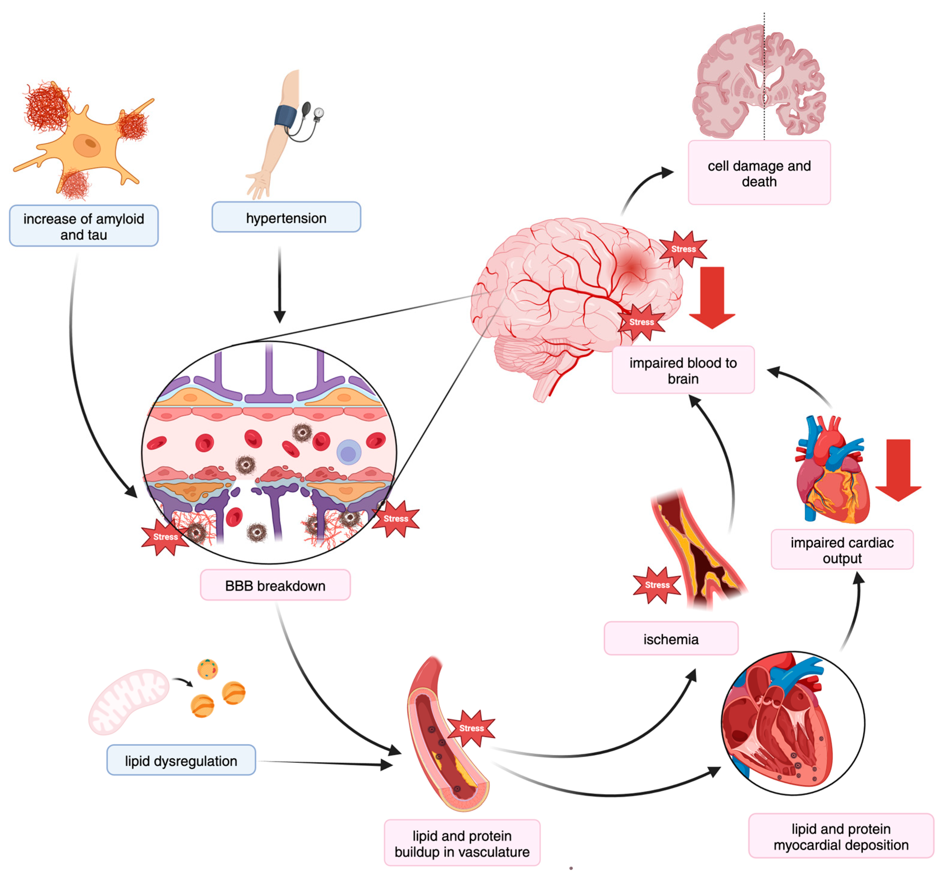 Genes 15 01509 g002 Genes 15 01509 g002