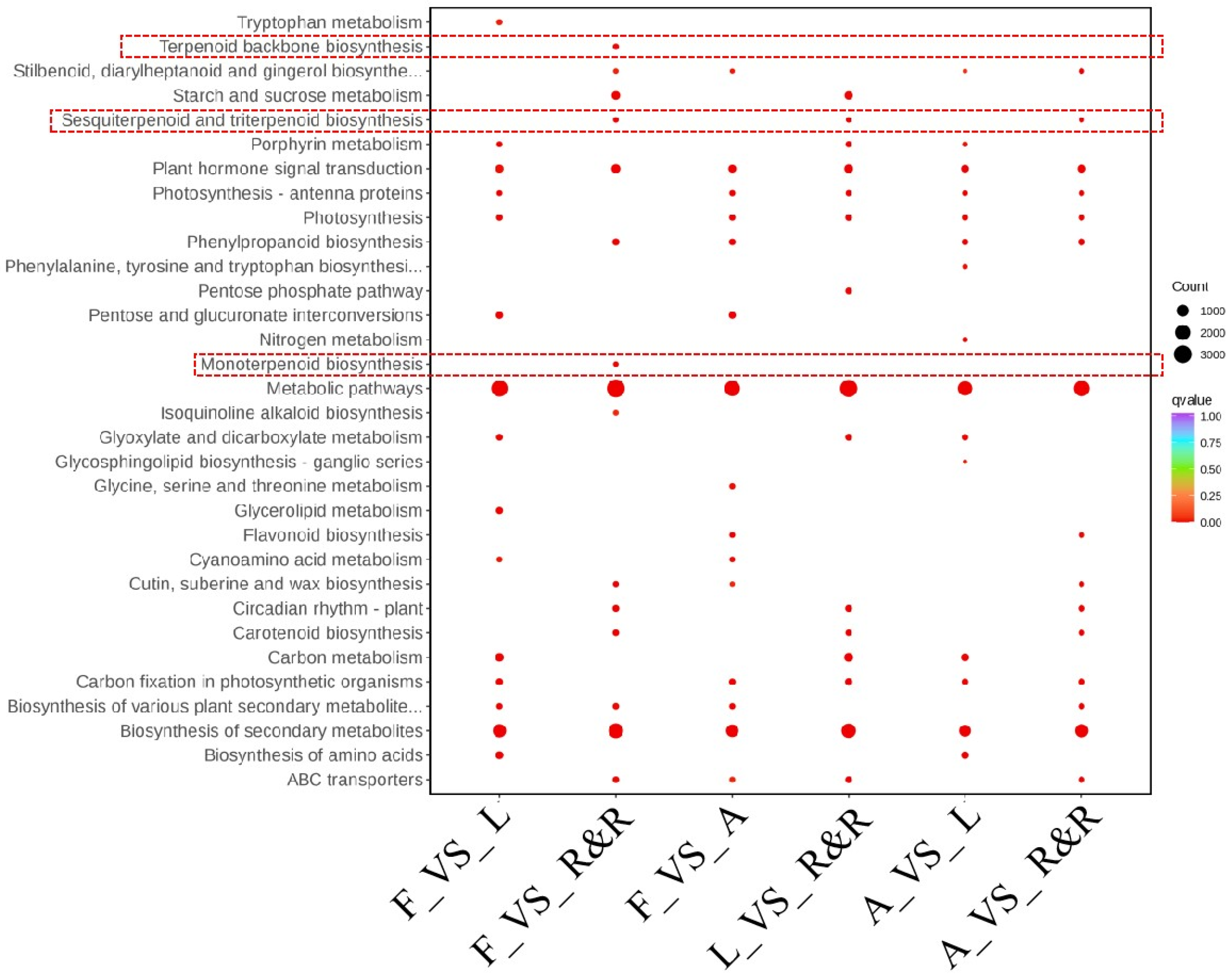 Genes 15 01539 g004