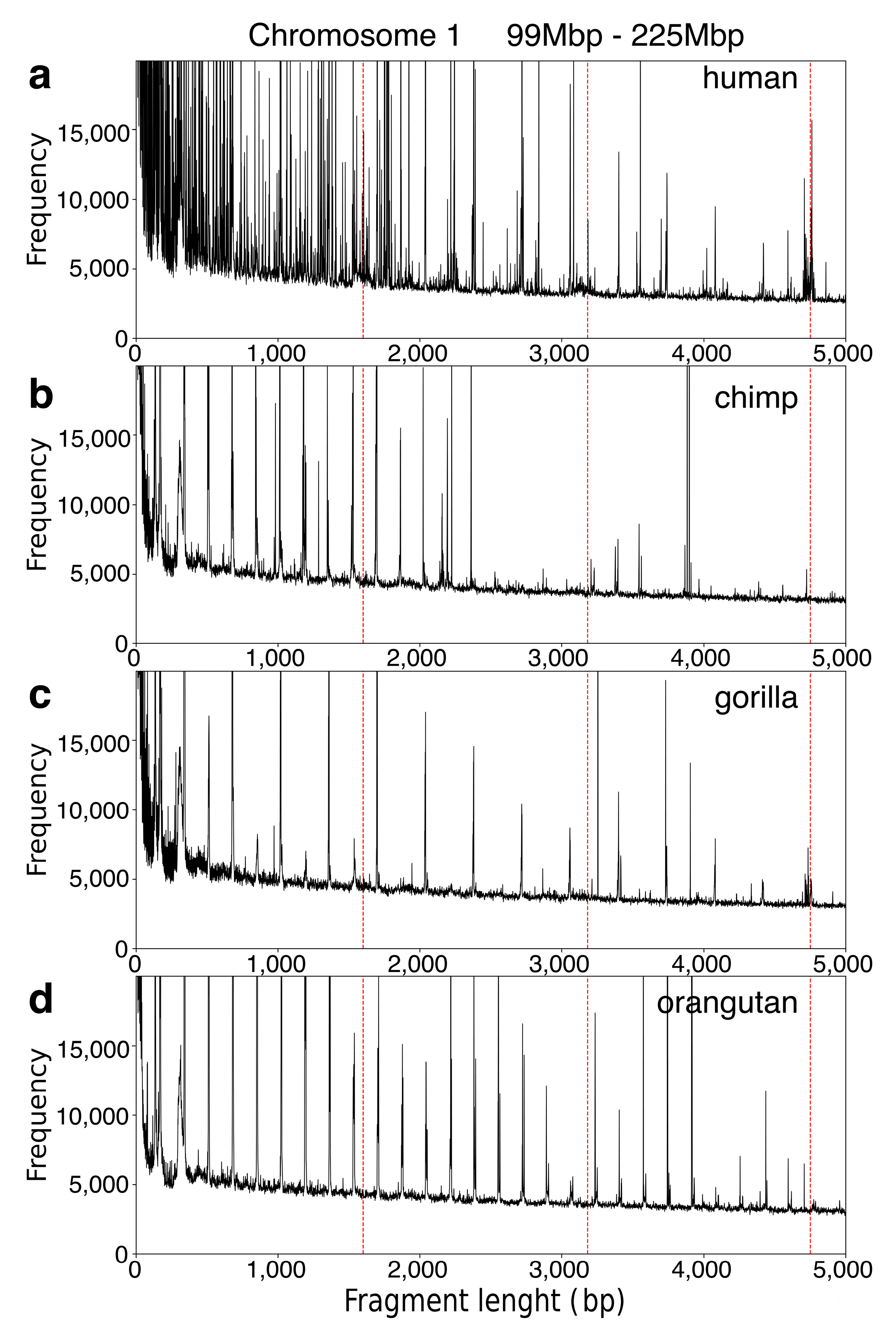 Genes 15 01598 g001 Genes 15 01598 g001