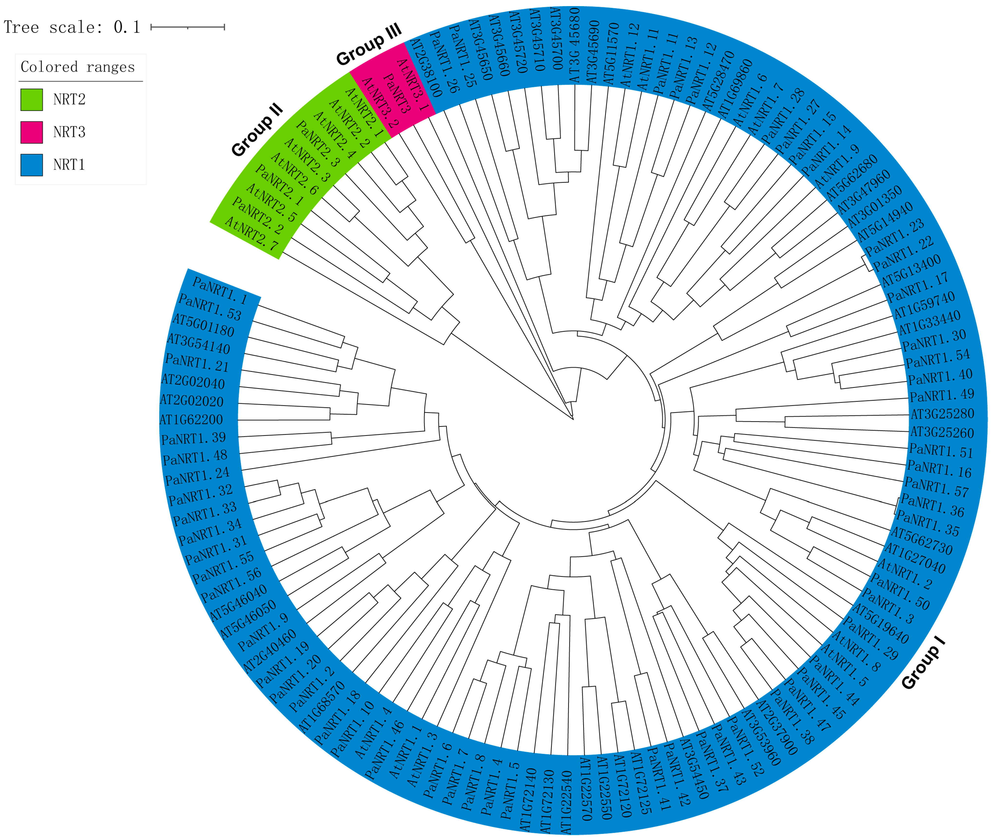 Genes 15 01600 g002