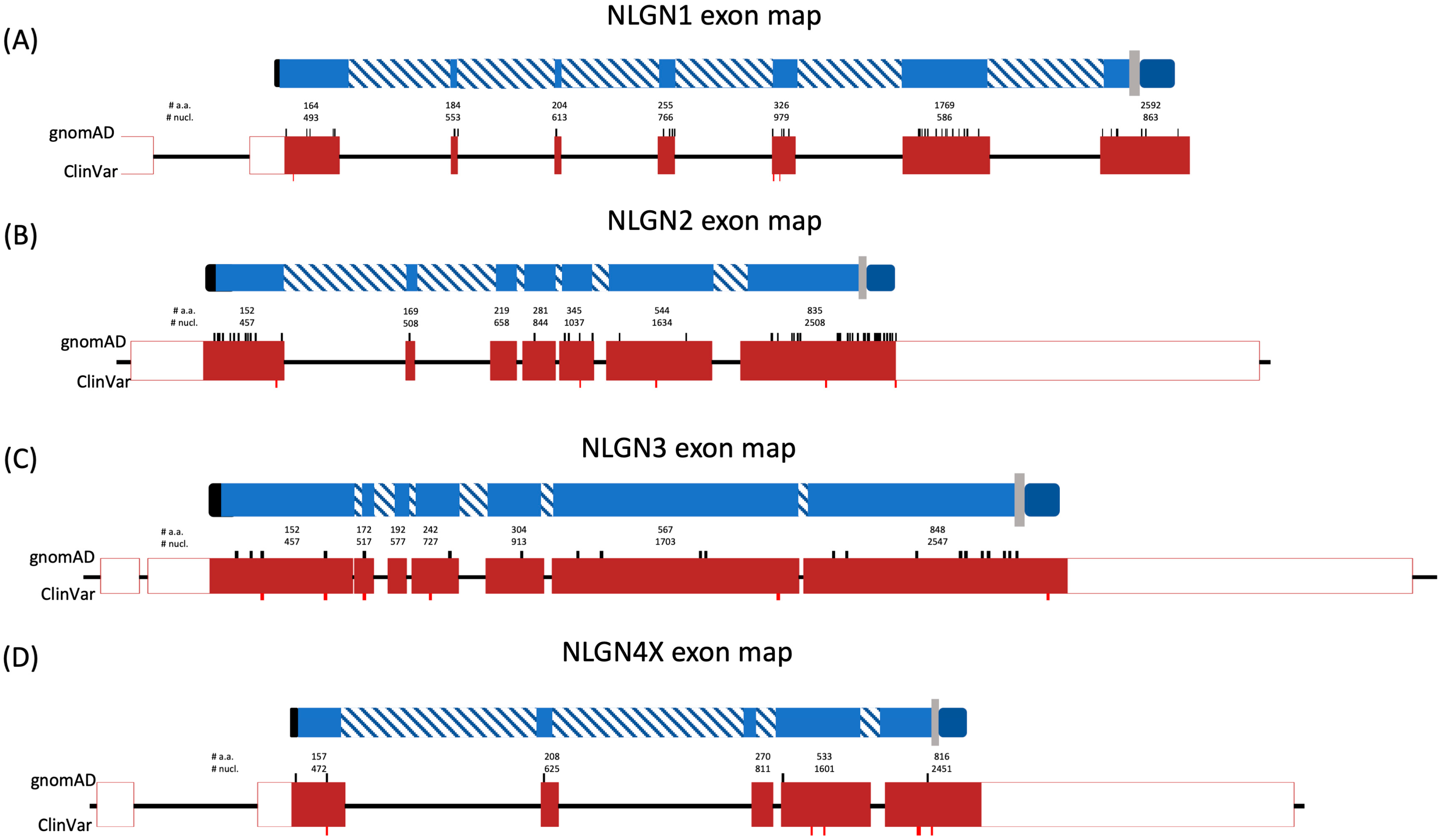Genes 15 01601 g001