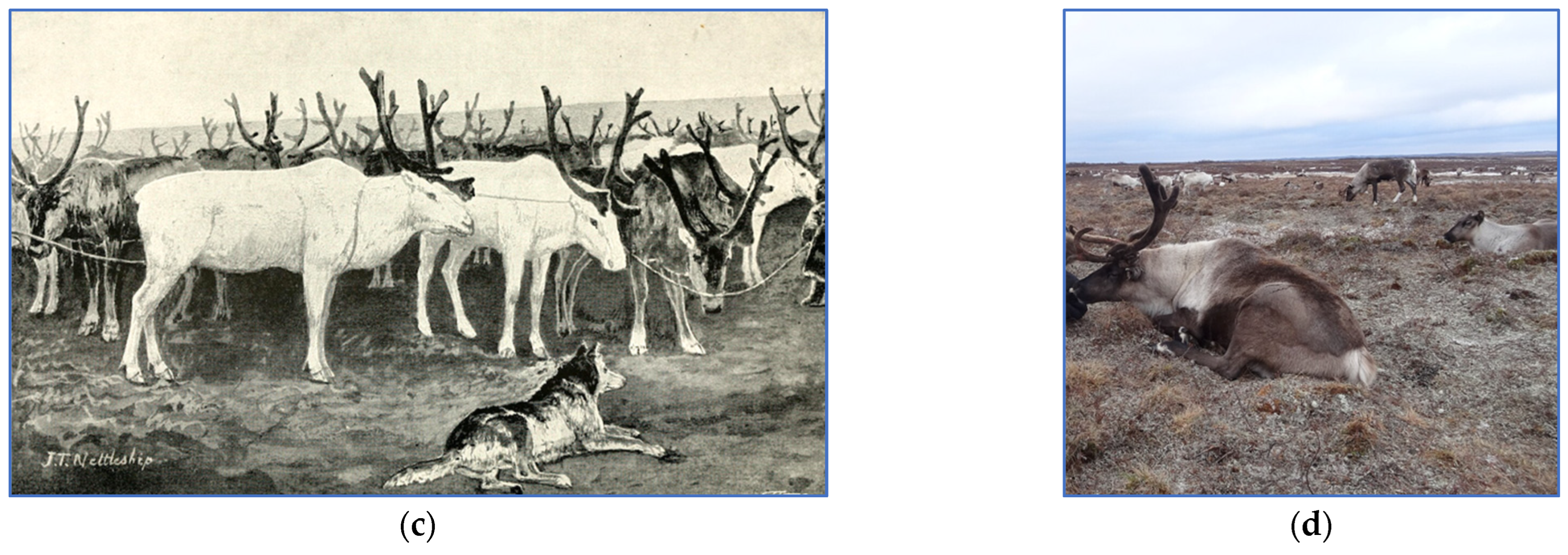 Genes 15 01629 g002b