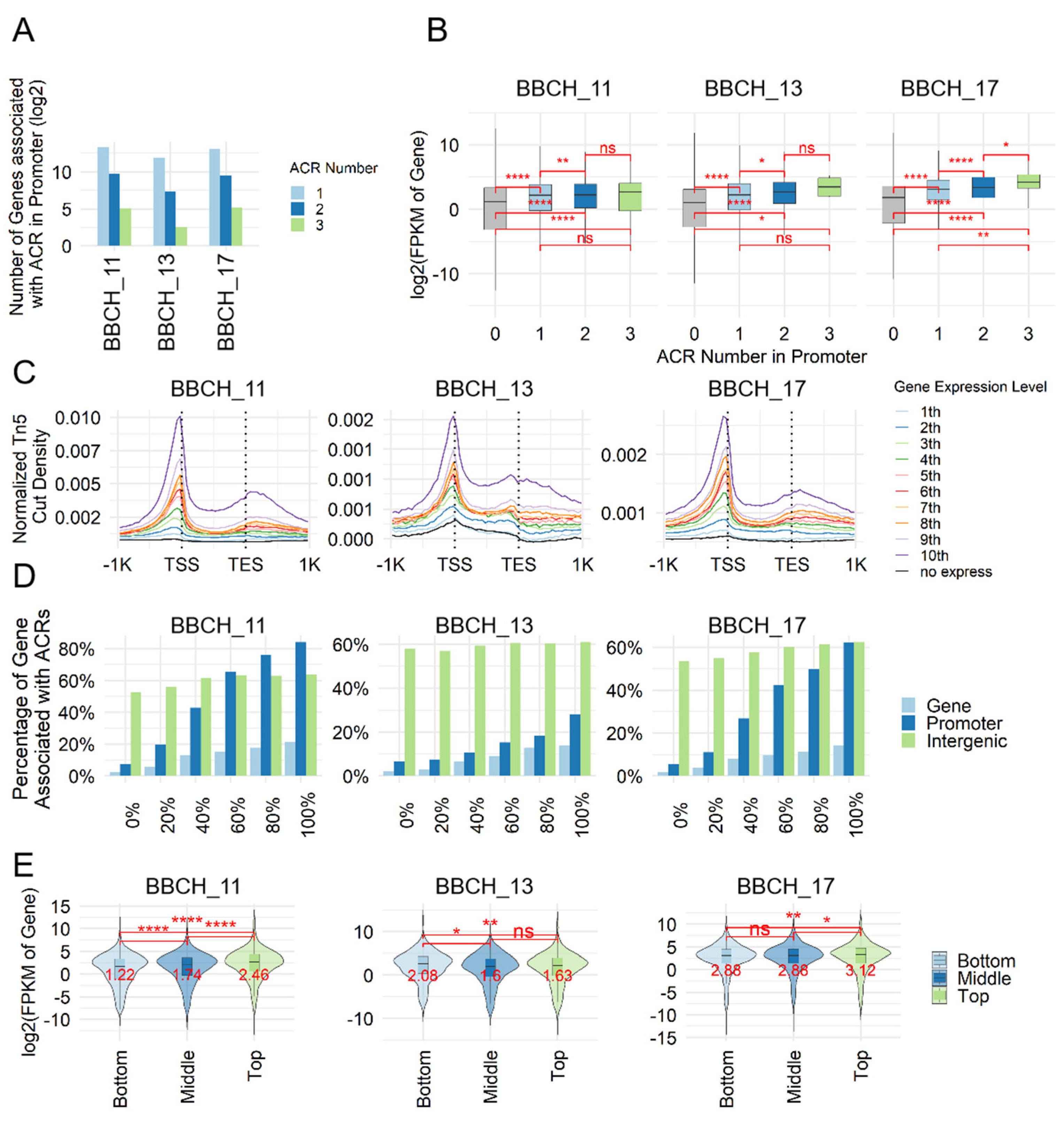 Genes 15 01630 g002