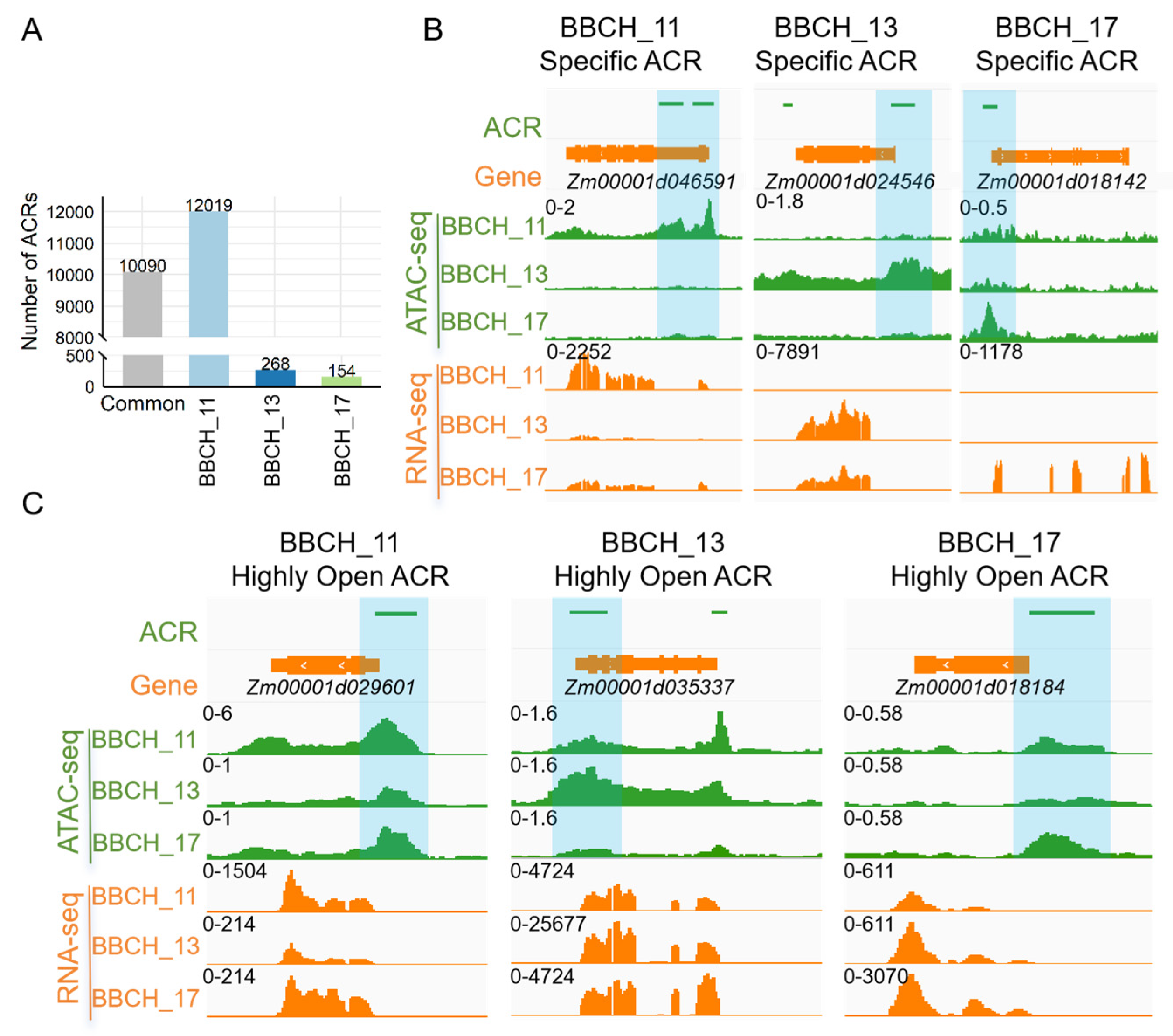 Genes 15 01630 g003