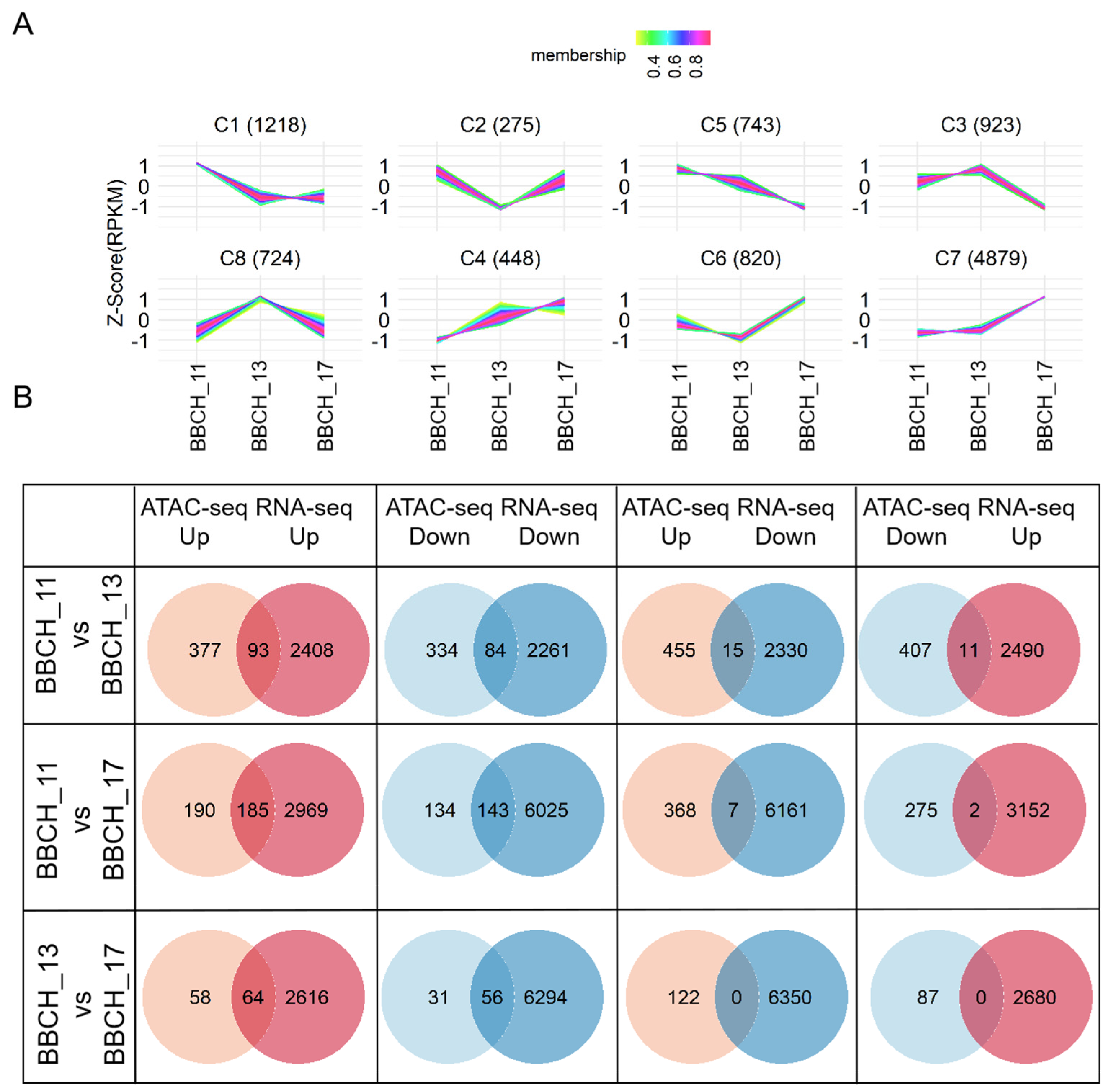 Genes 15 01630 g006