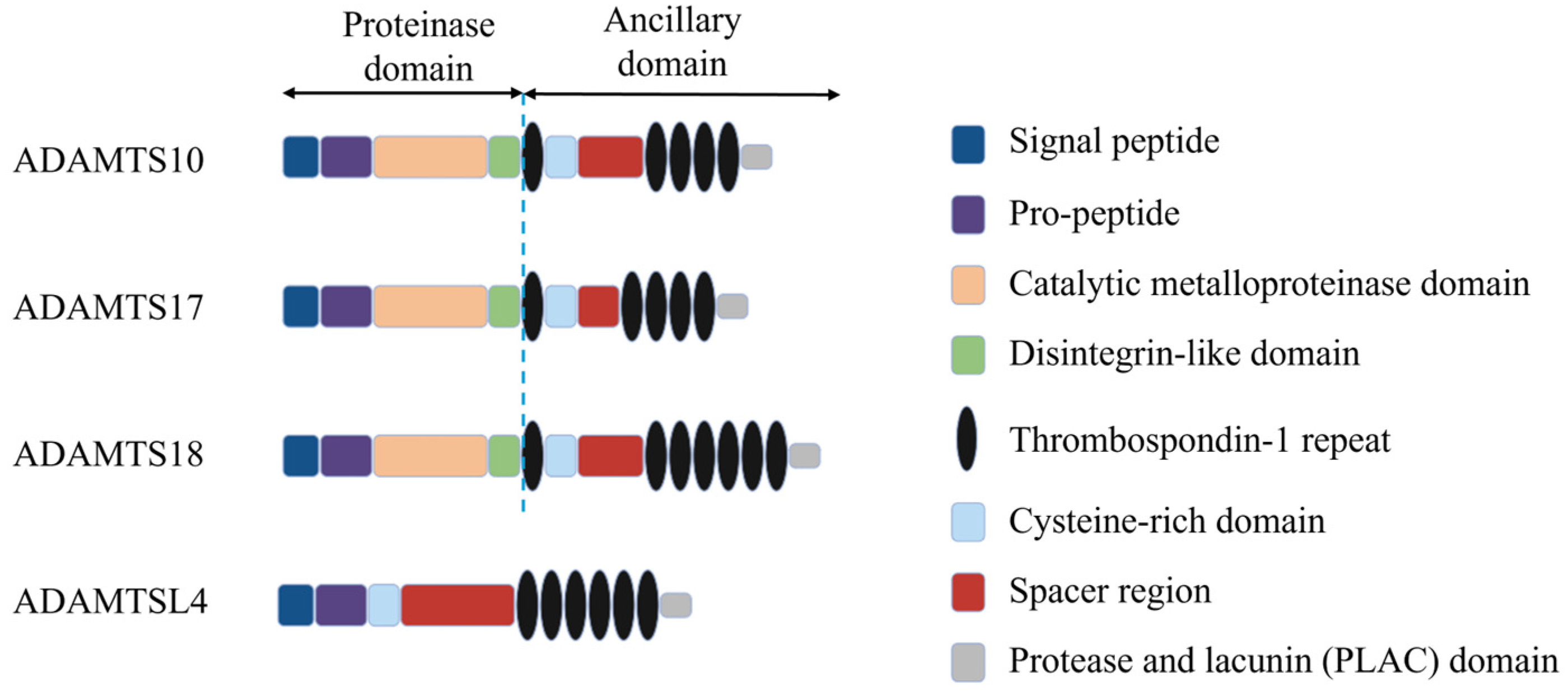 Genes 15 01632 g002 Genes 15 01632 g002