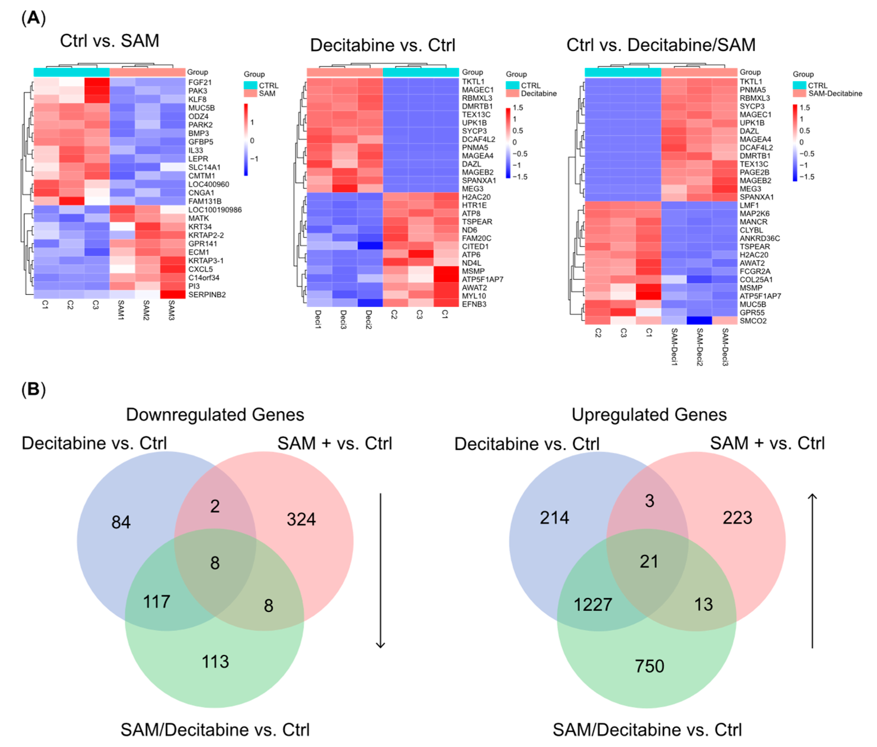 Genes 15 01634 g002