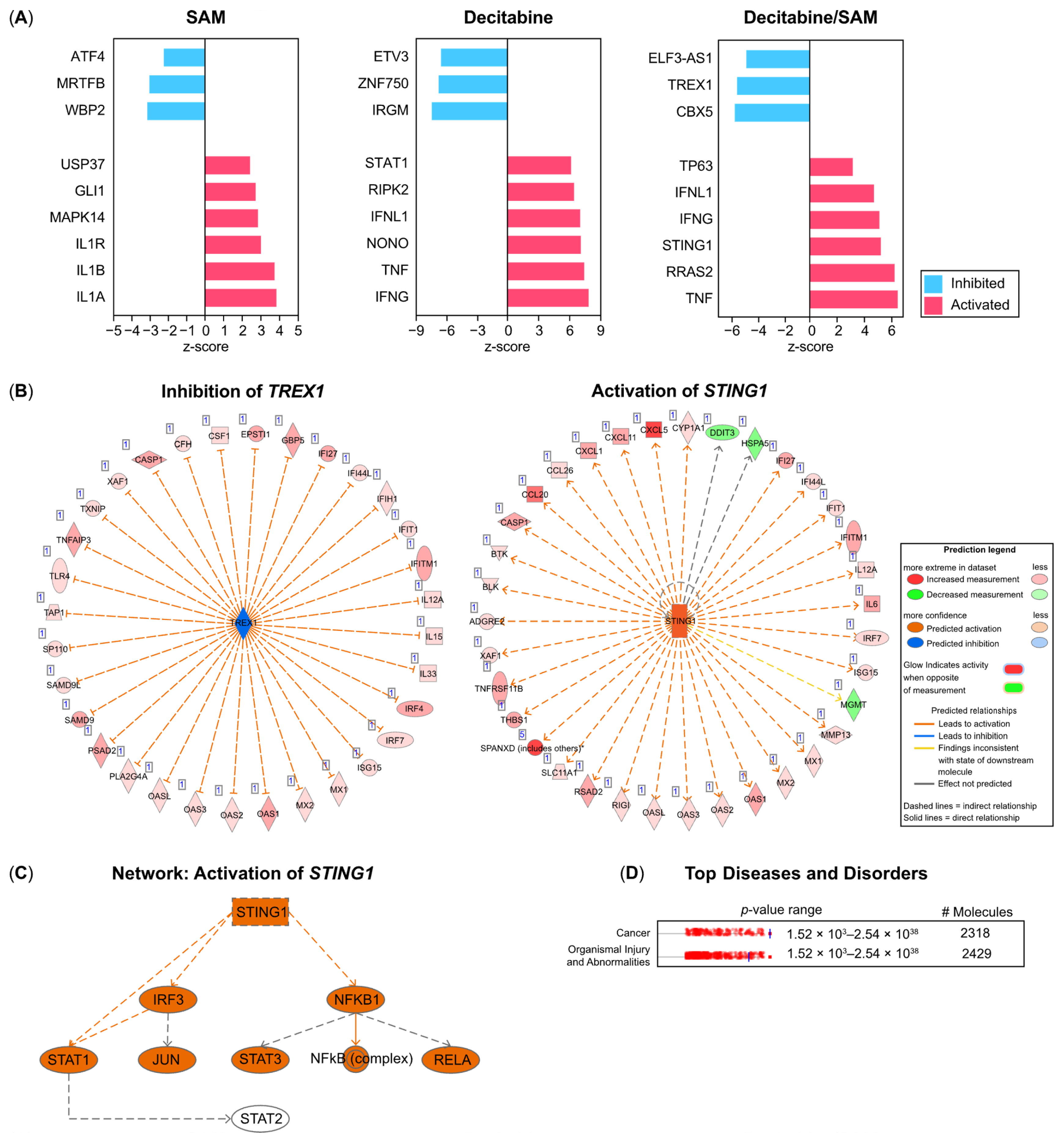 Genes 15 01634 g004