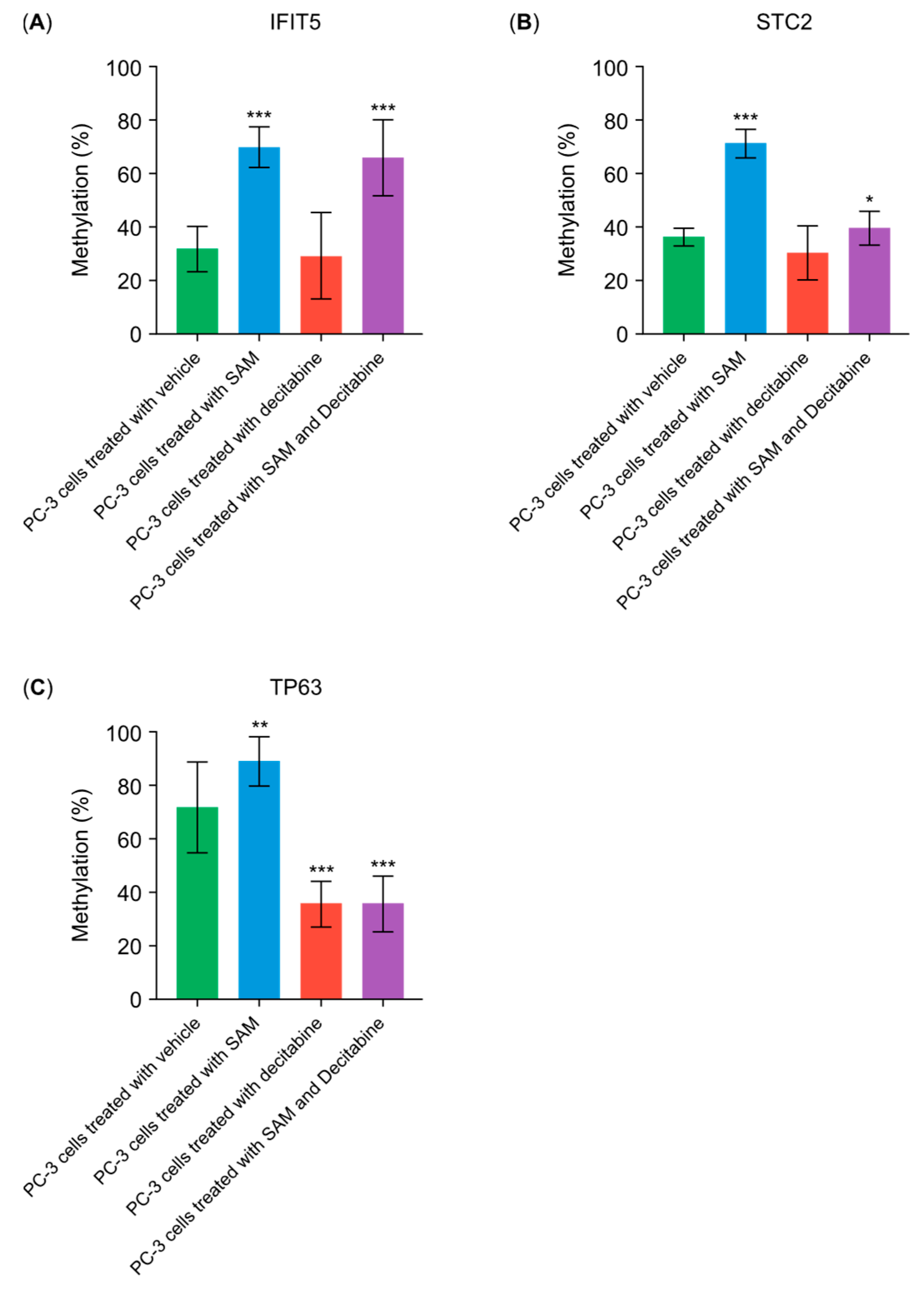 Genes 15 01634 g005