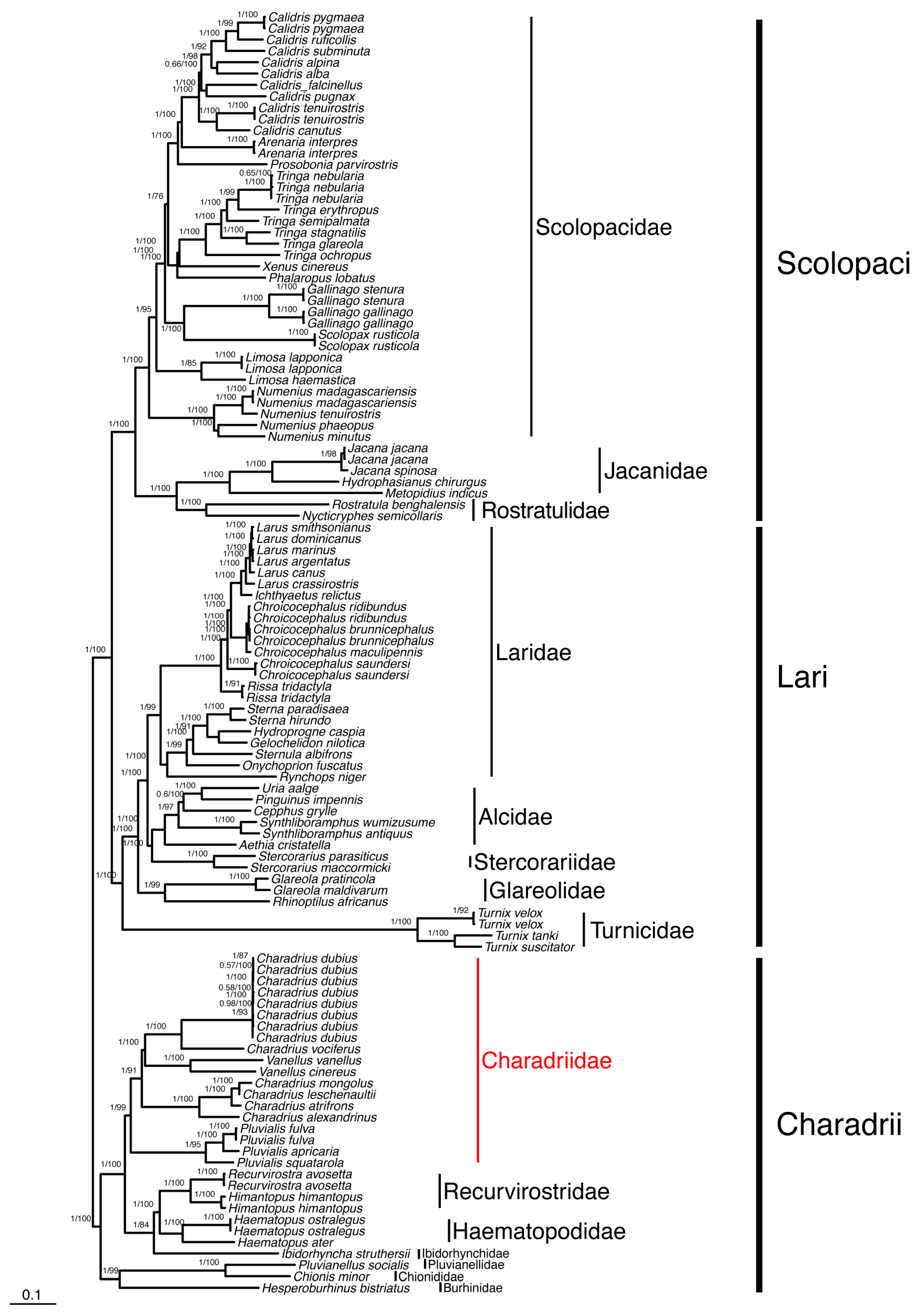 Genes 15 01642 g004