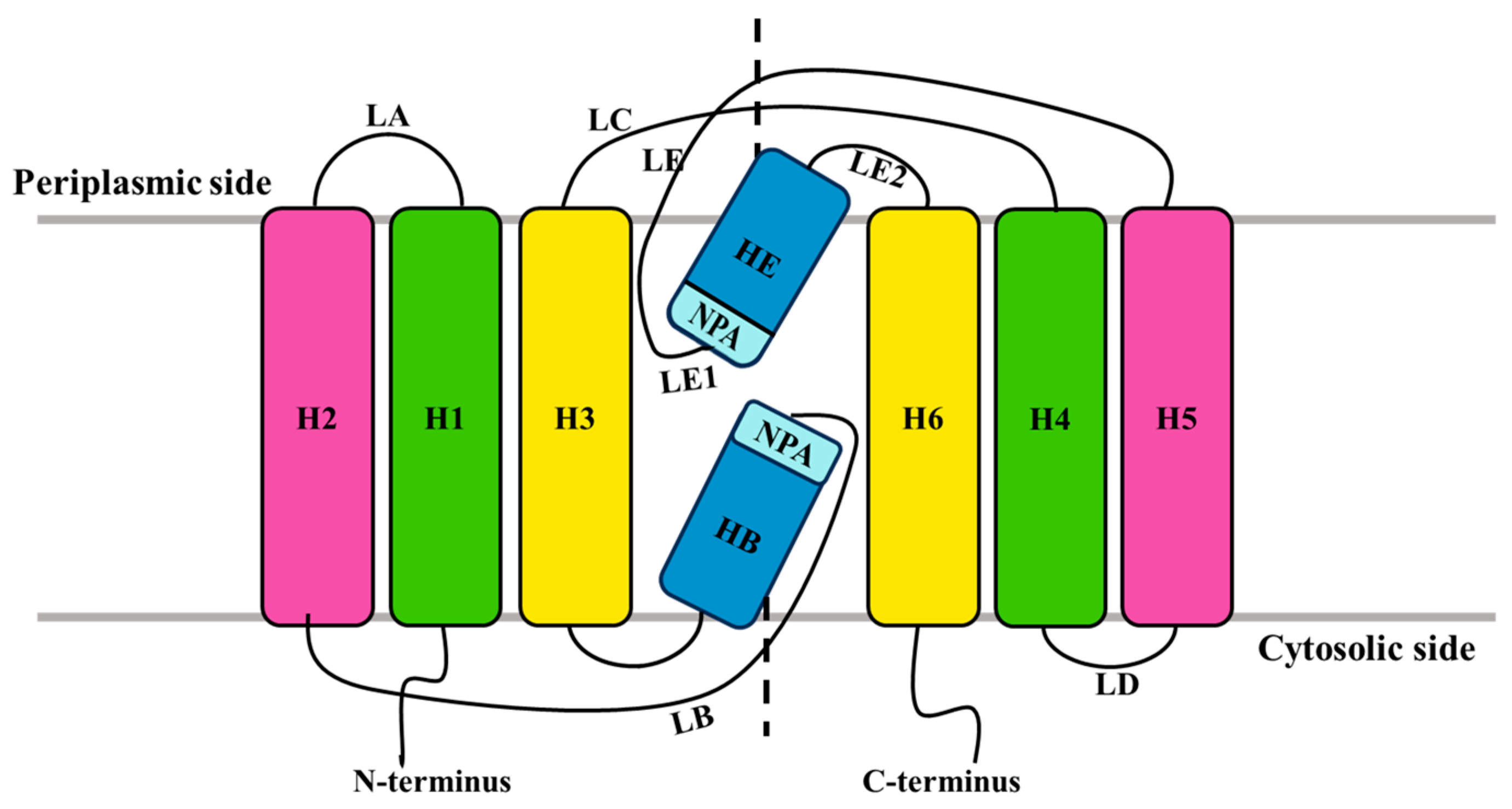 Genes 16 00010 g001