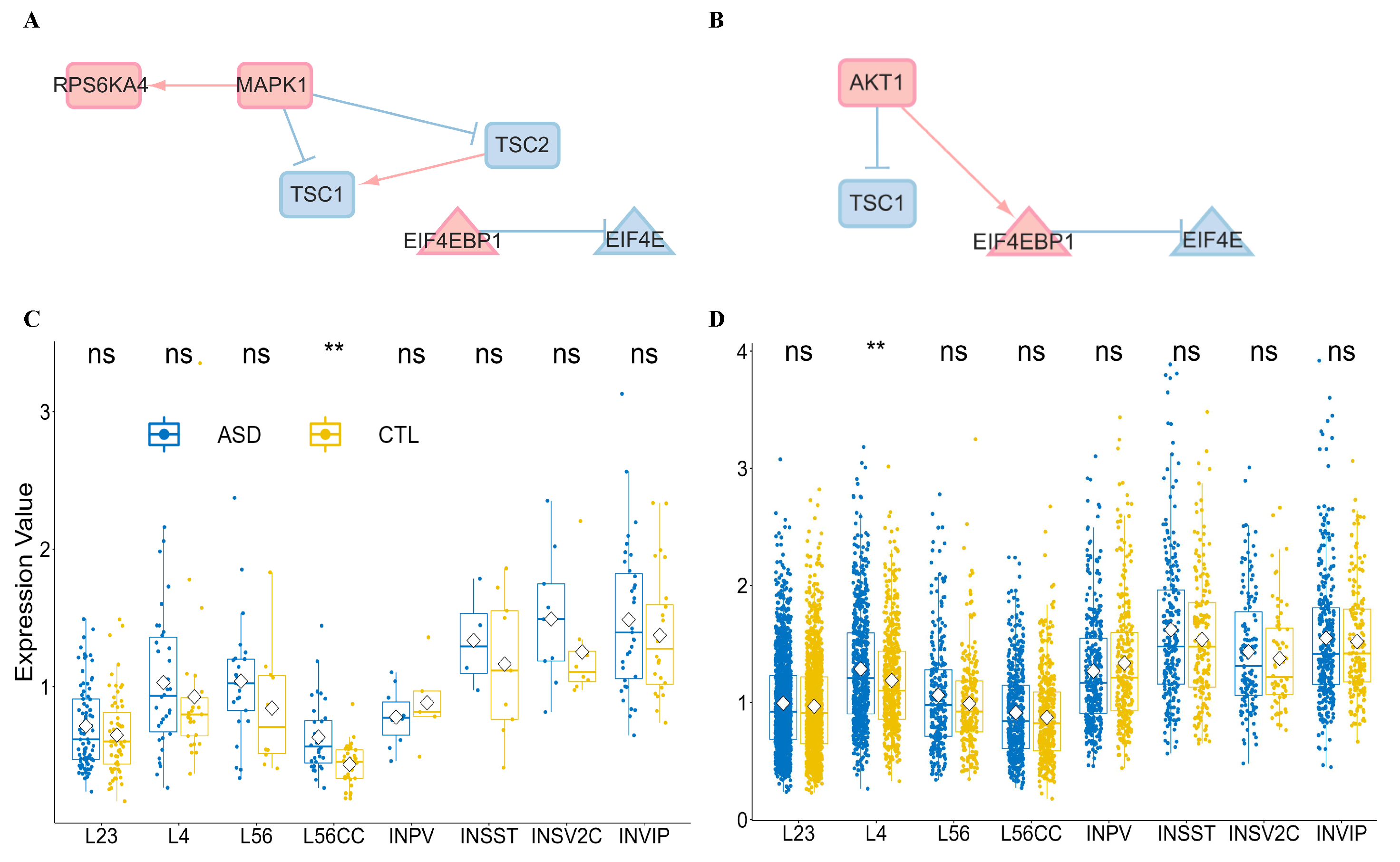 Genes 16 00011 g003