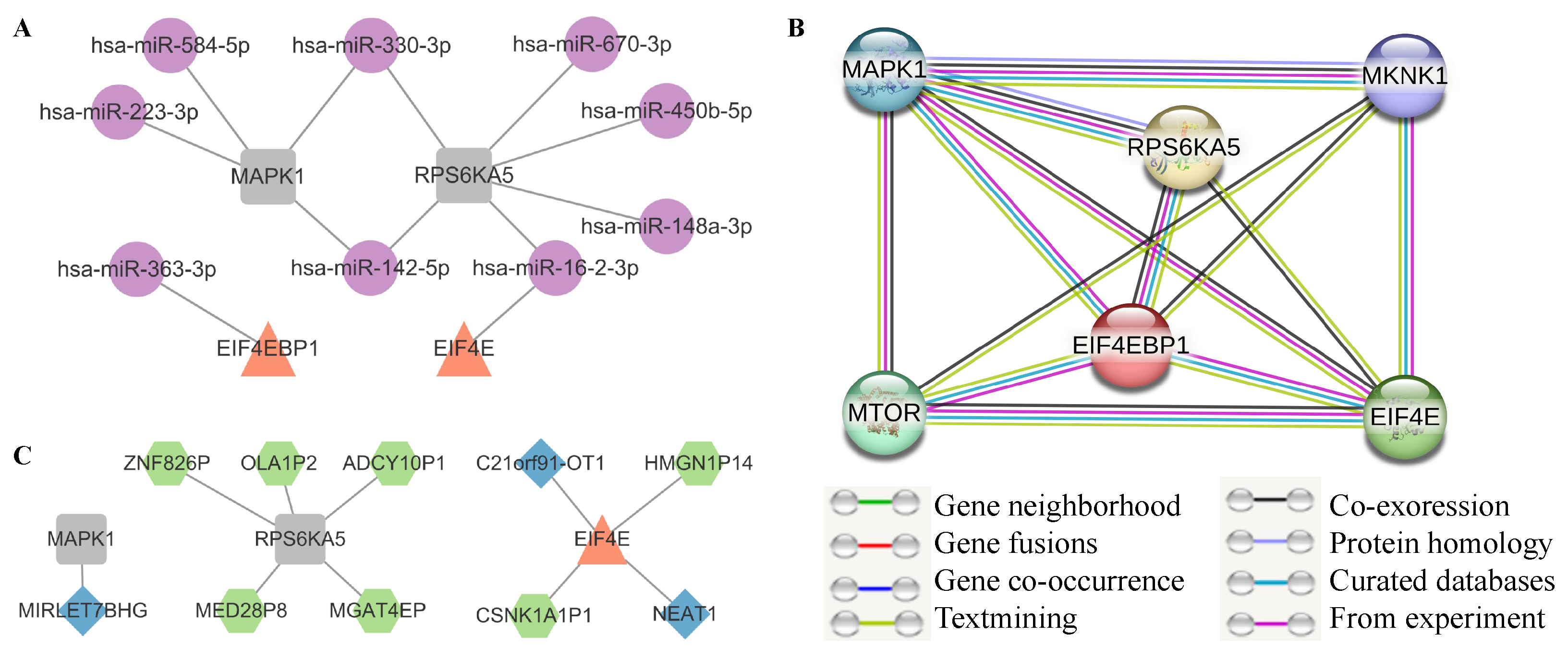 Genes 16 00011 g006