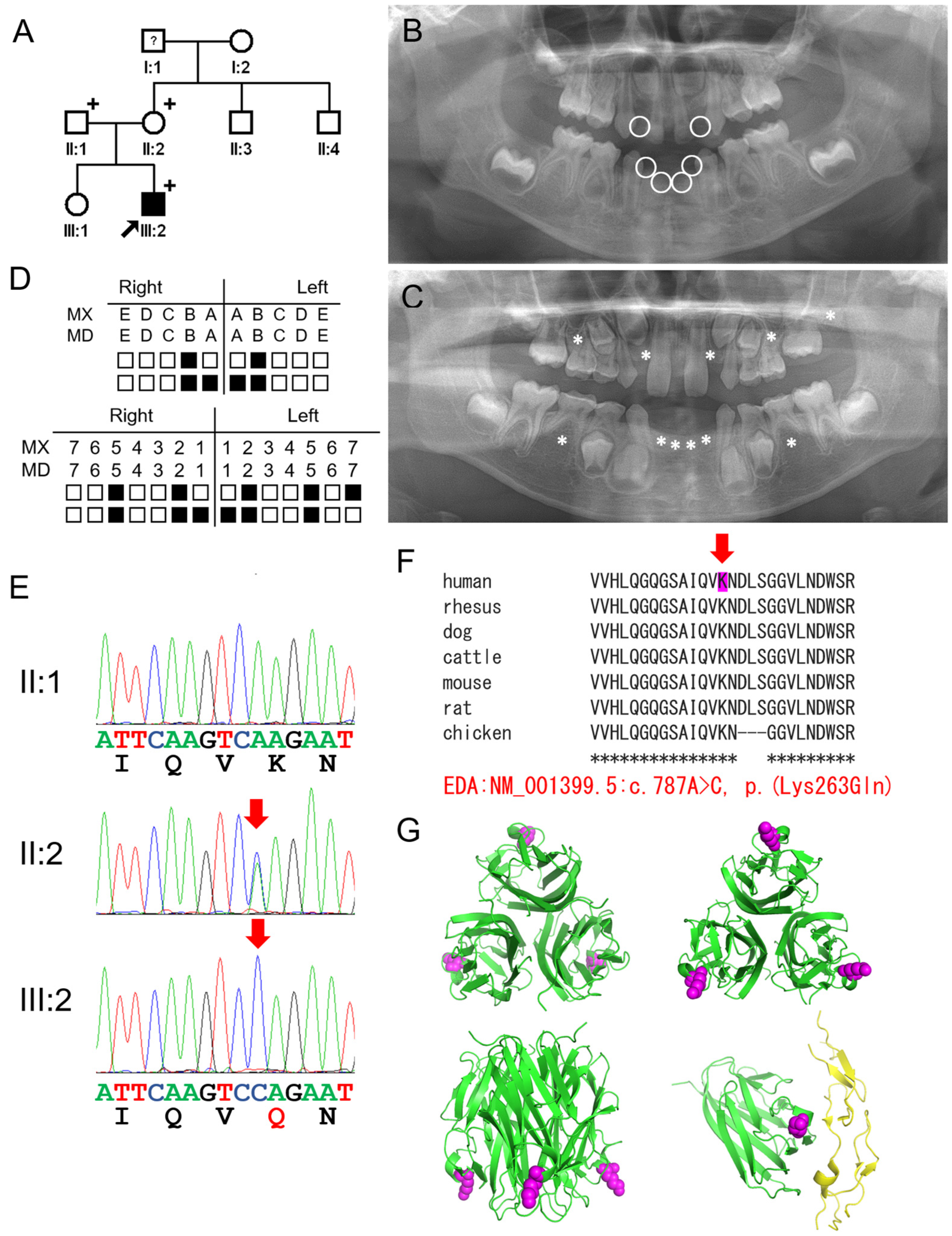 Genes 16 00012 g002