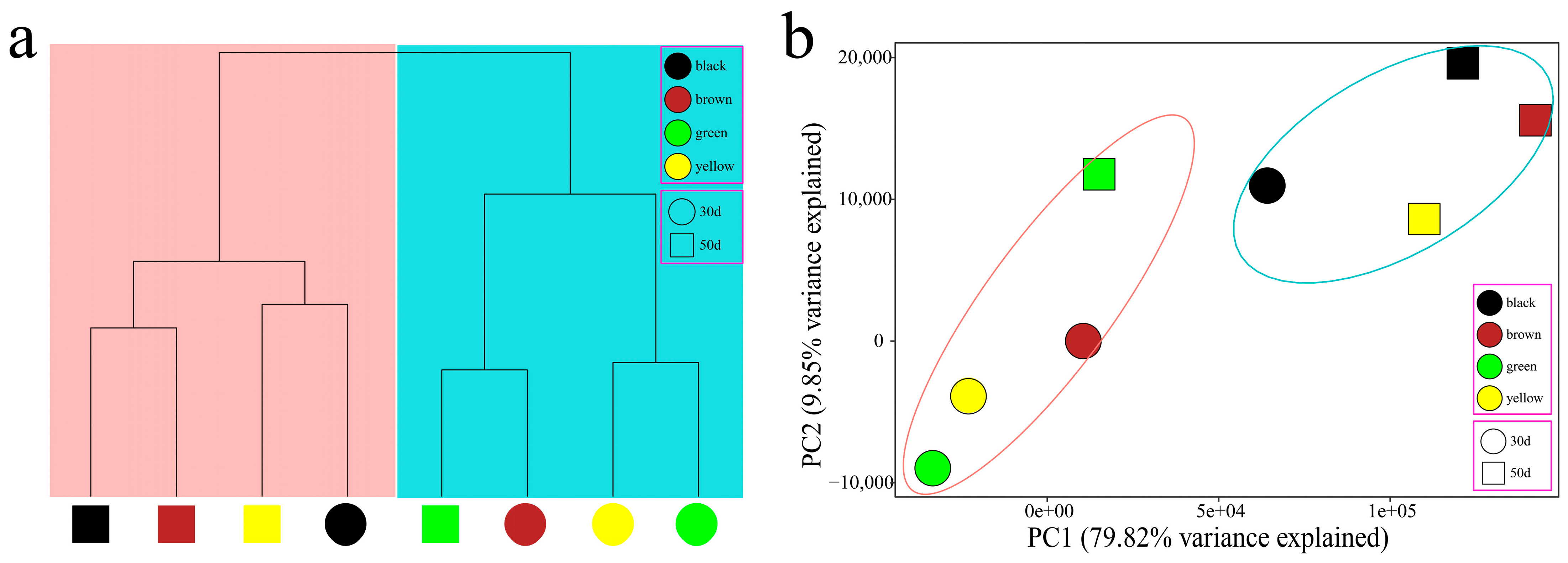 Genes 16 00044 g003