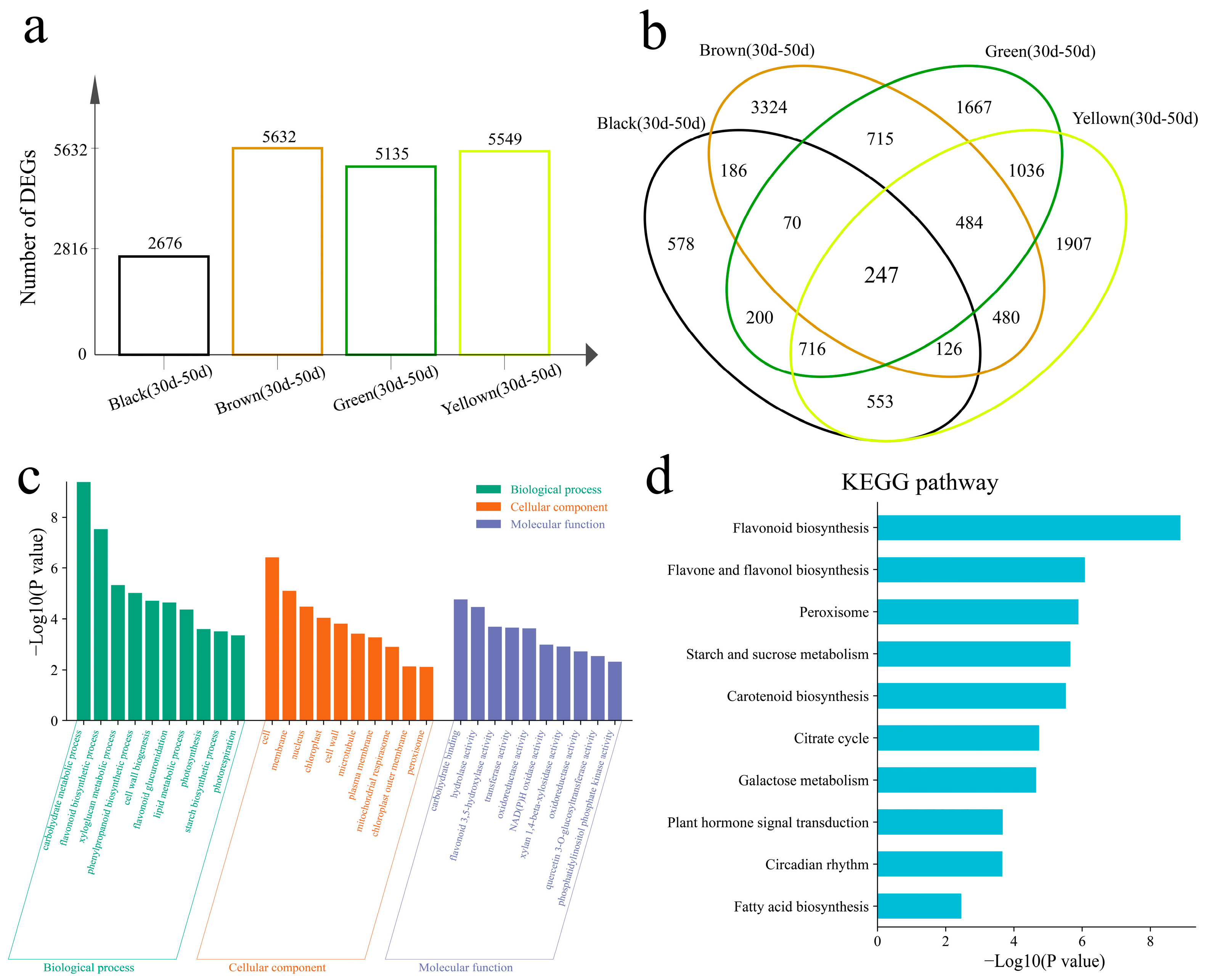 Genes 16 00044 g004