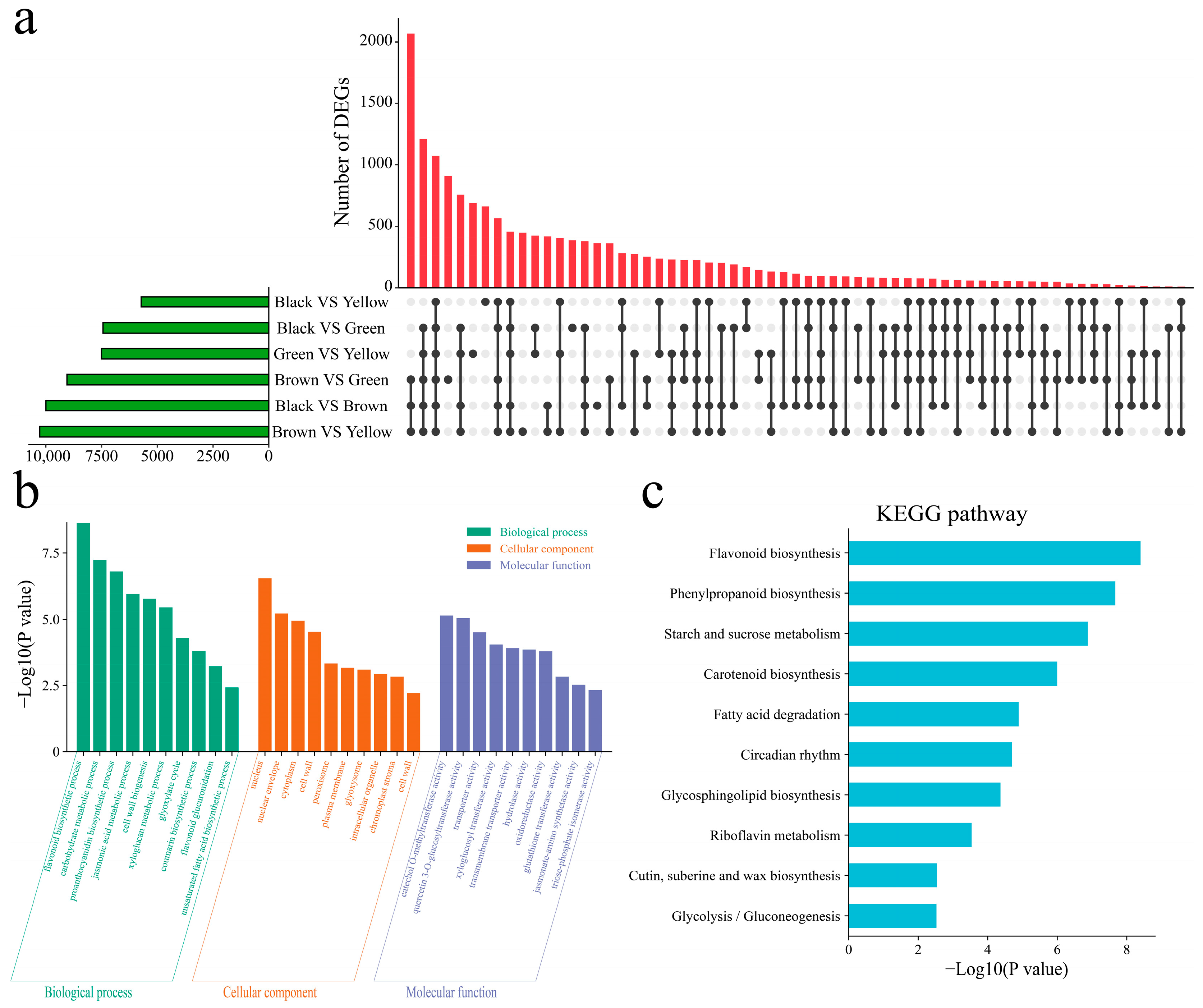 Genes 16 00044 g006