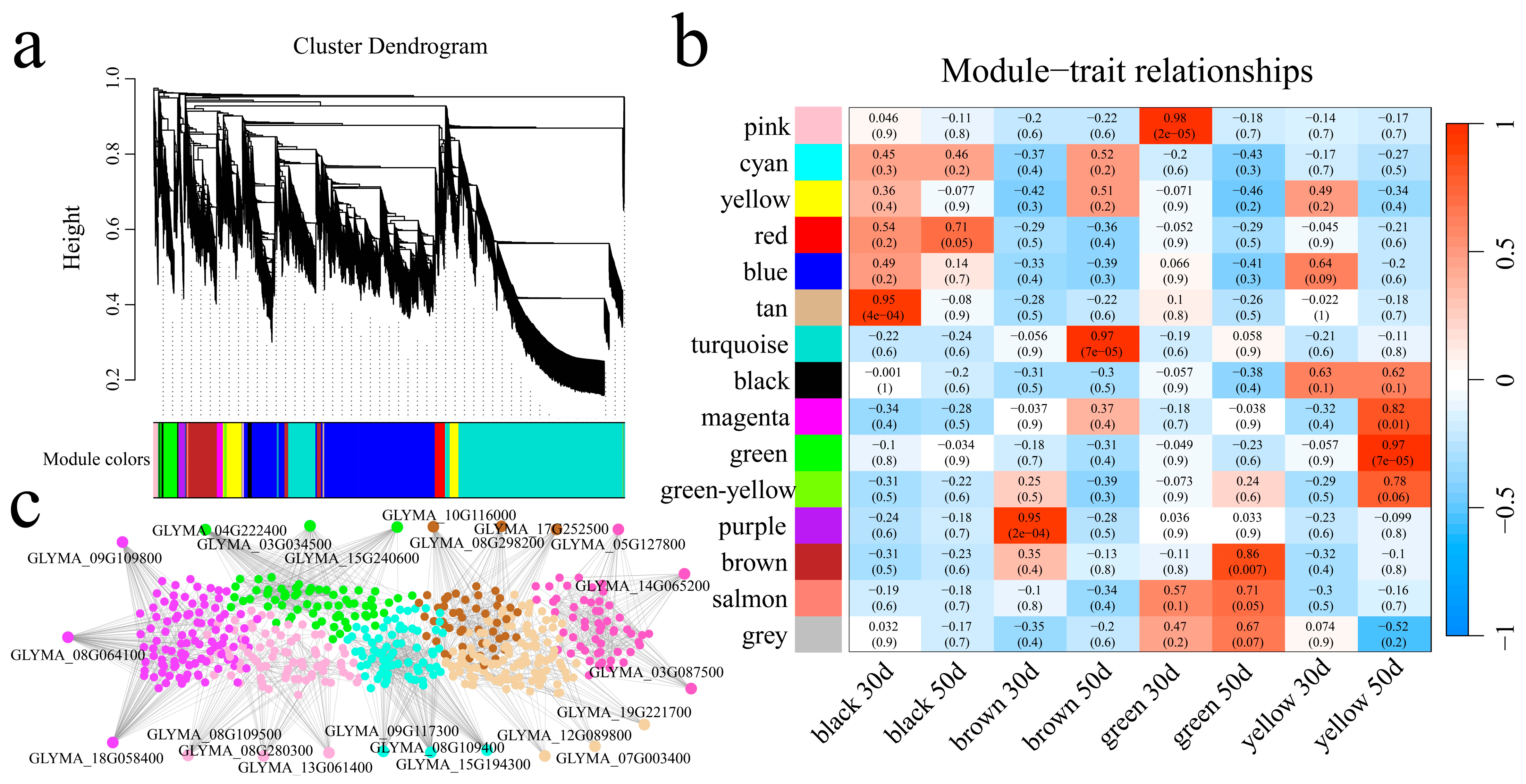 Genes 16 00044 g009