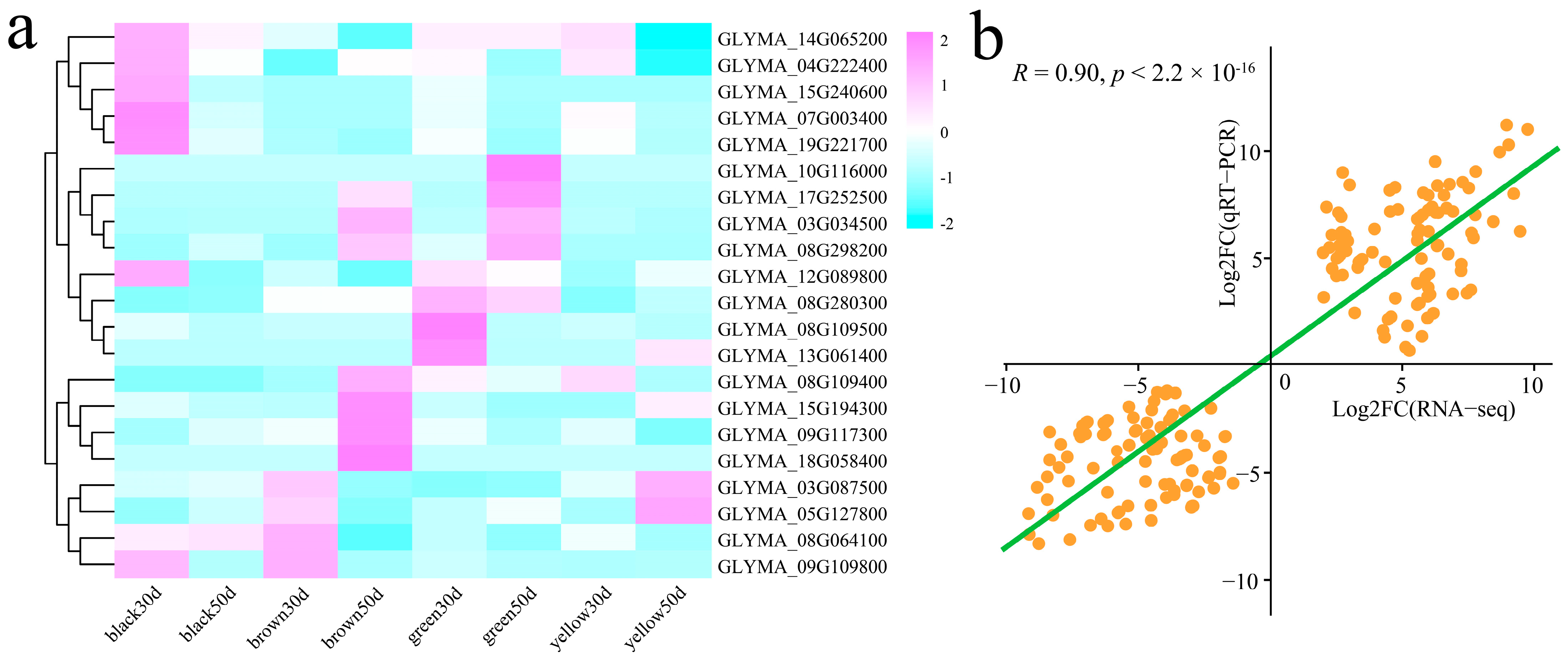 Genes 16 00044 g010
