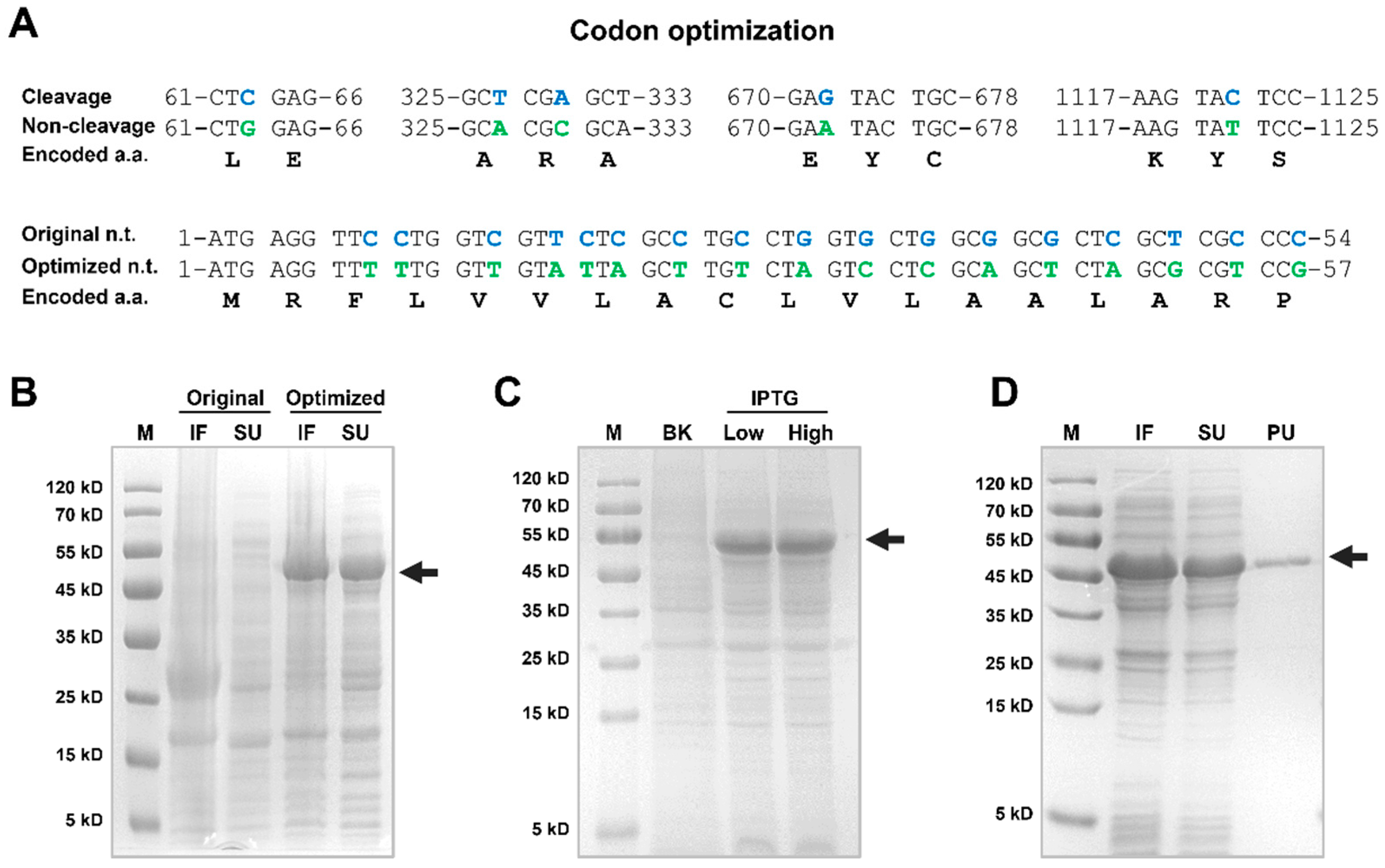 Genes 16 00069 g004