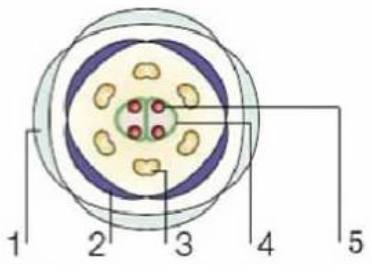 Genes 16 00079 g002 Genes 16 00079 g002