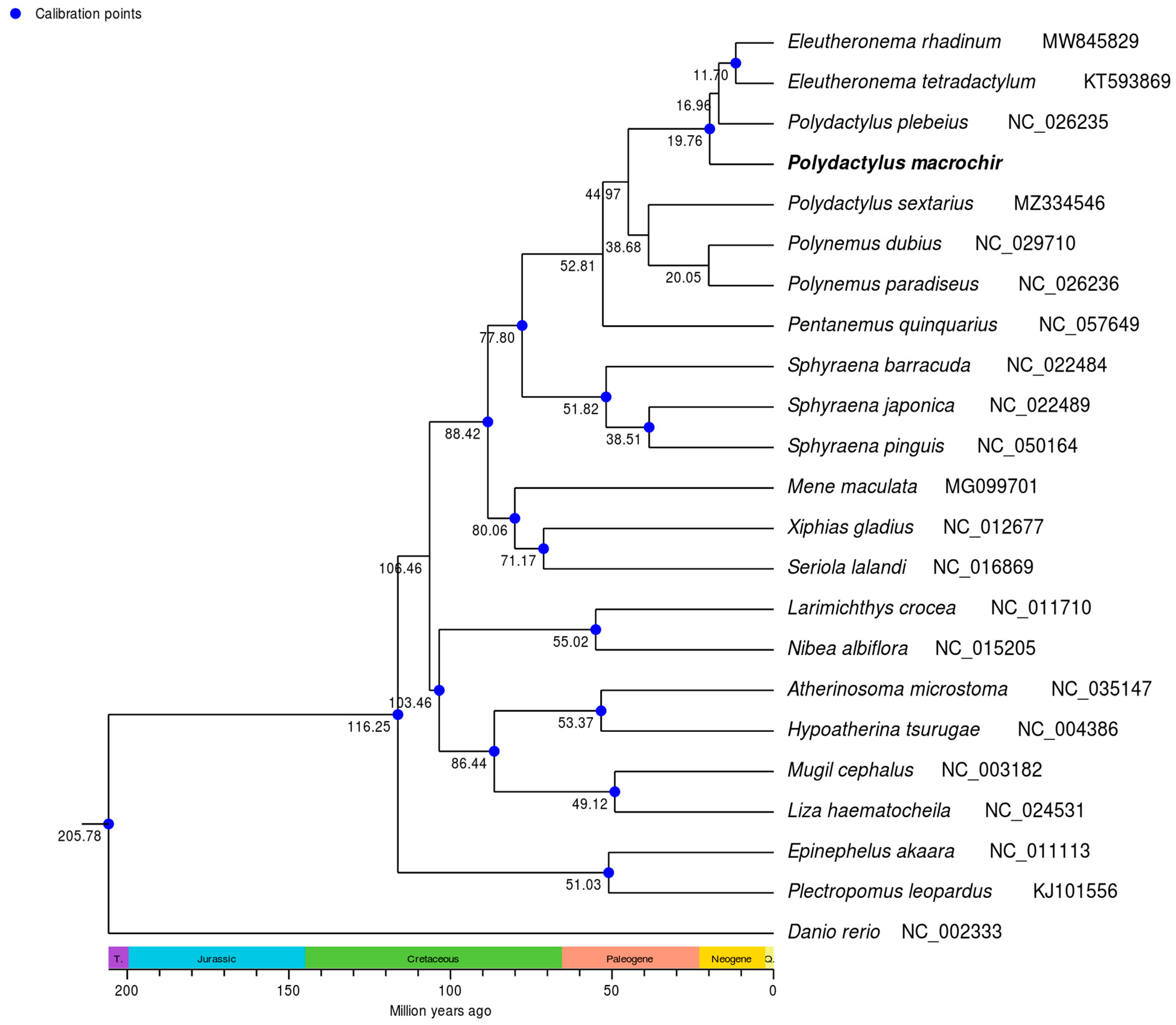 Genes 16 00088 g006
