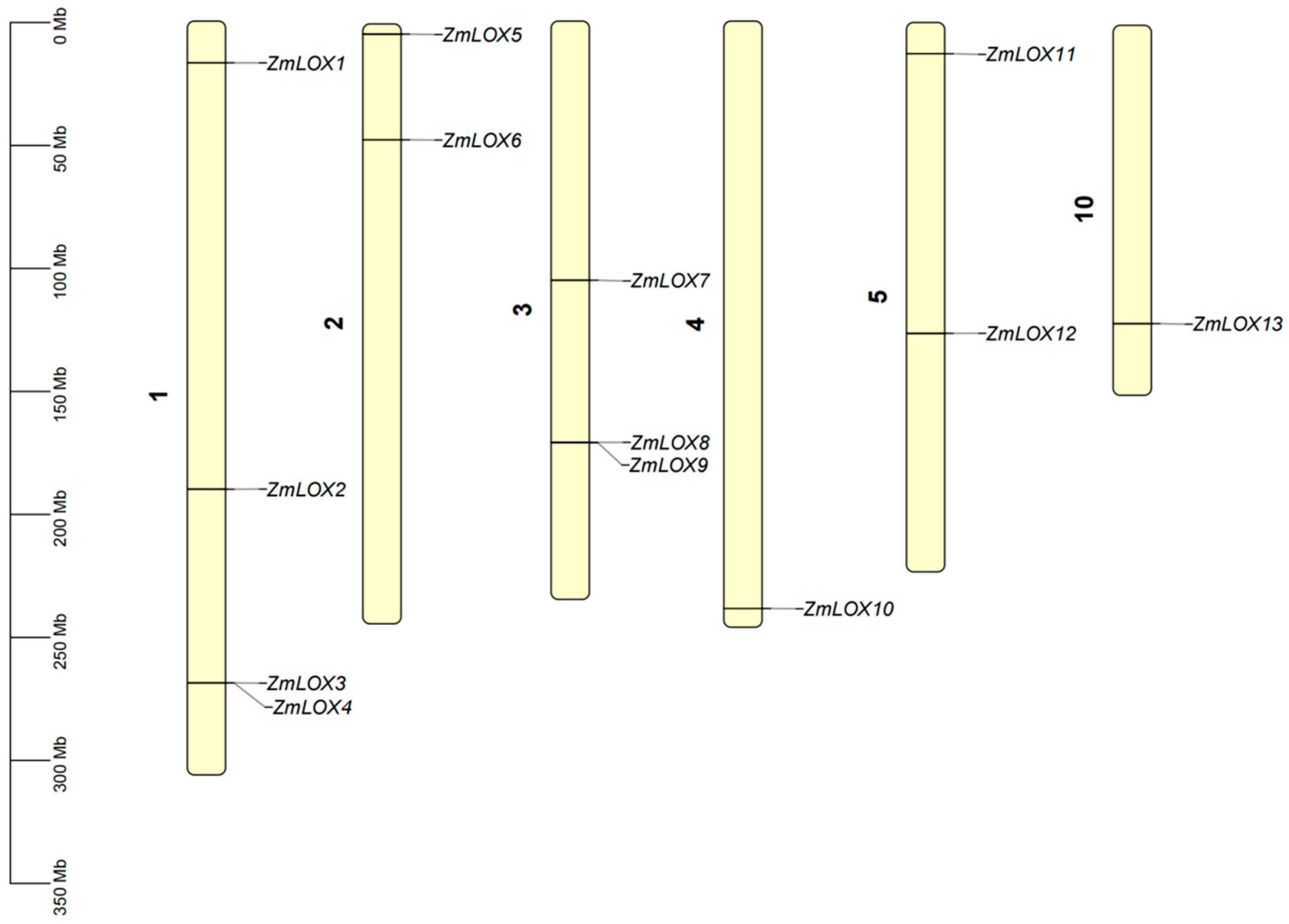 Genes 16 00099 g001 Genes 16 00099 g001