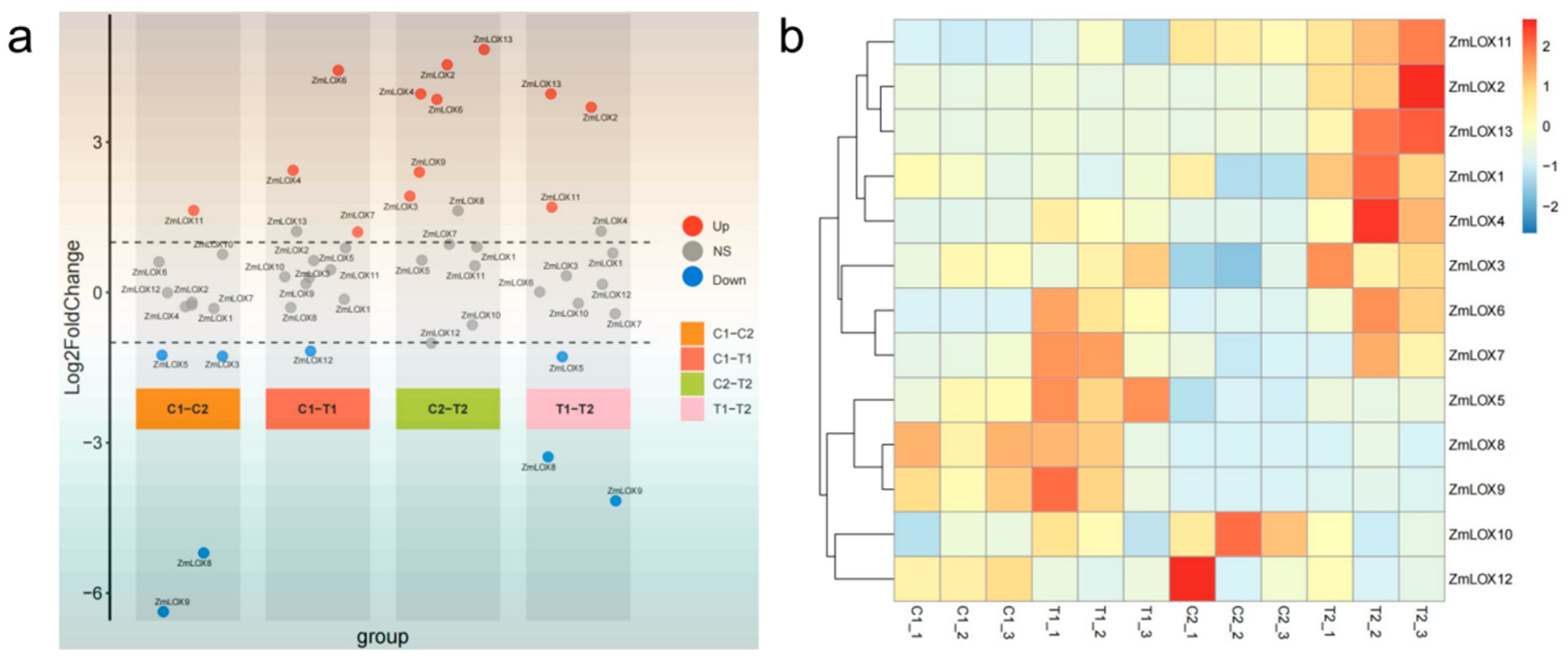 Genes 16 00099 g008 Genes 16 00099 g008