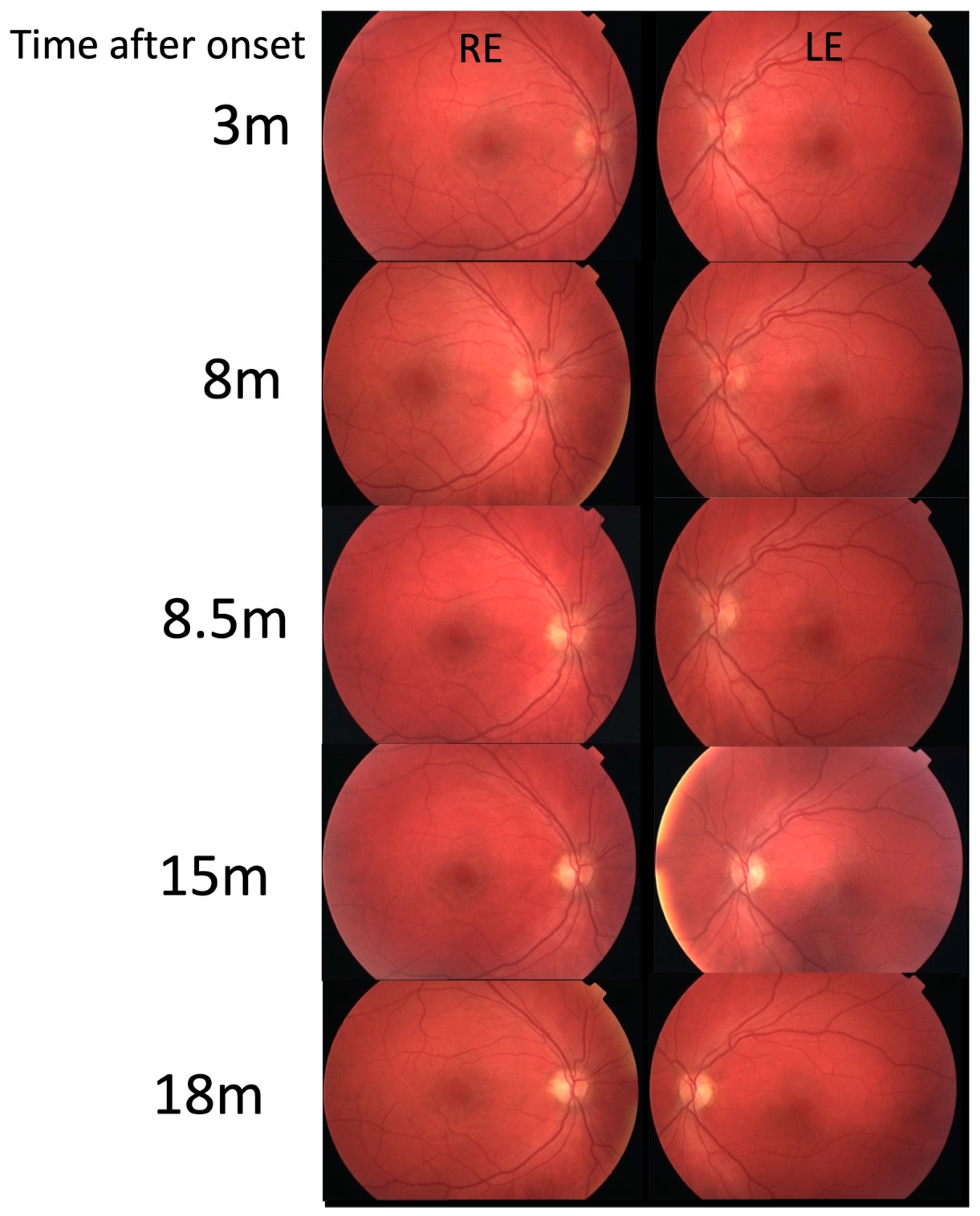 Genes 16 00108 g002 Genes 16 00108 g002