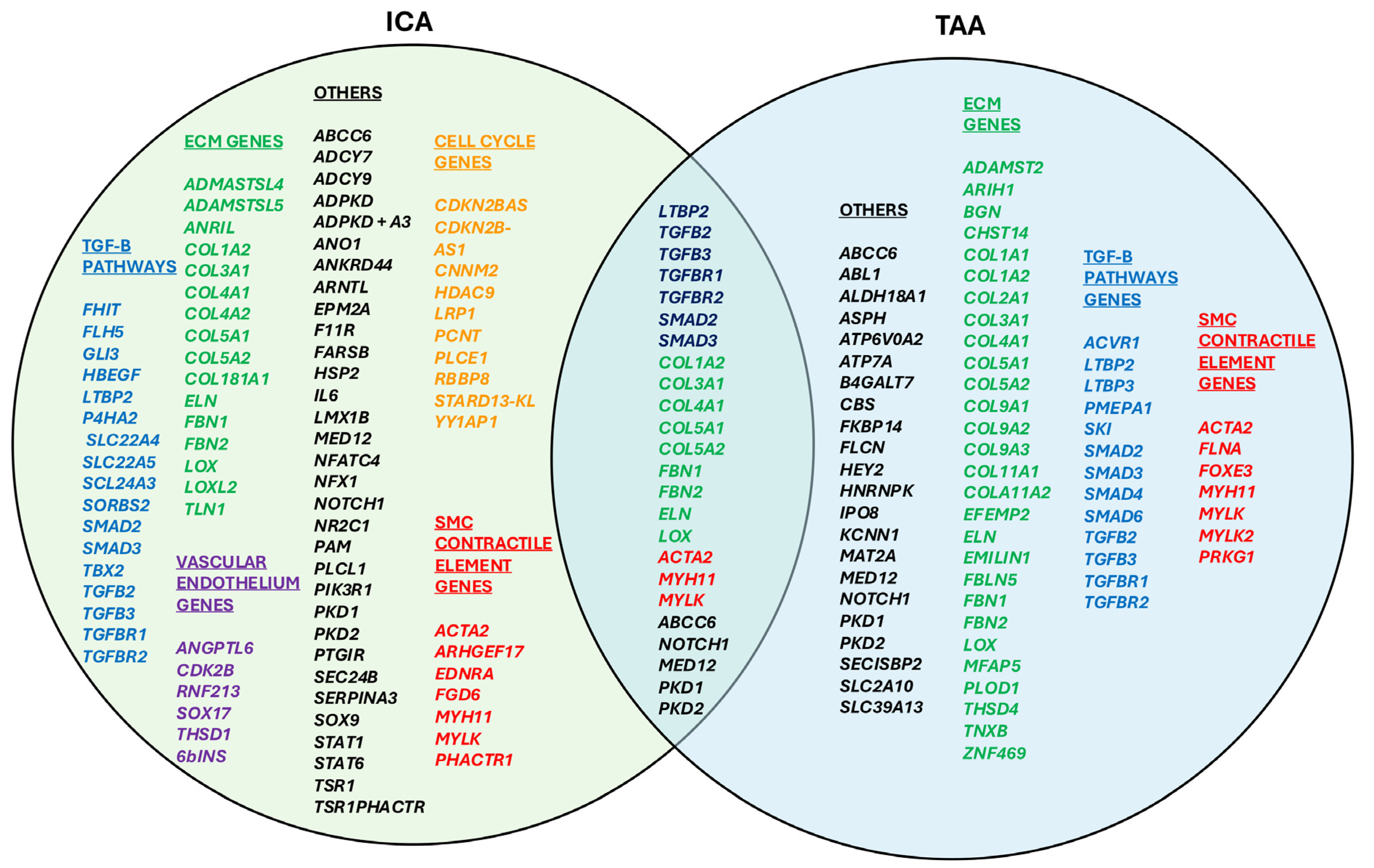 Genes 16 00154 g001