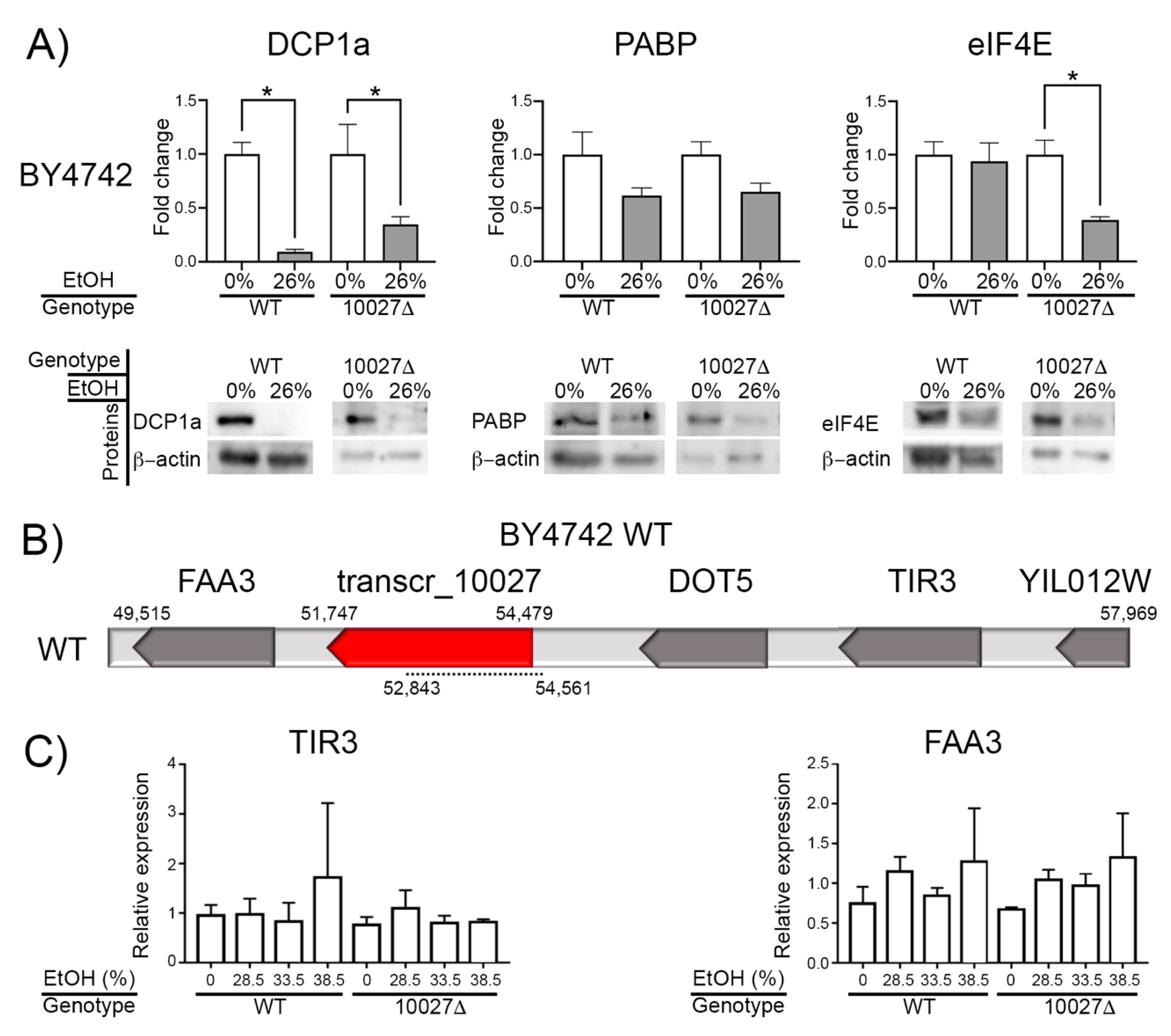 Genes 16 00170 g003 Genes 16 00170 g003