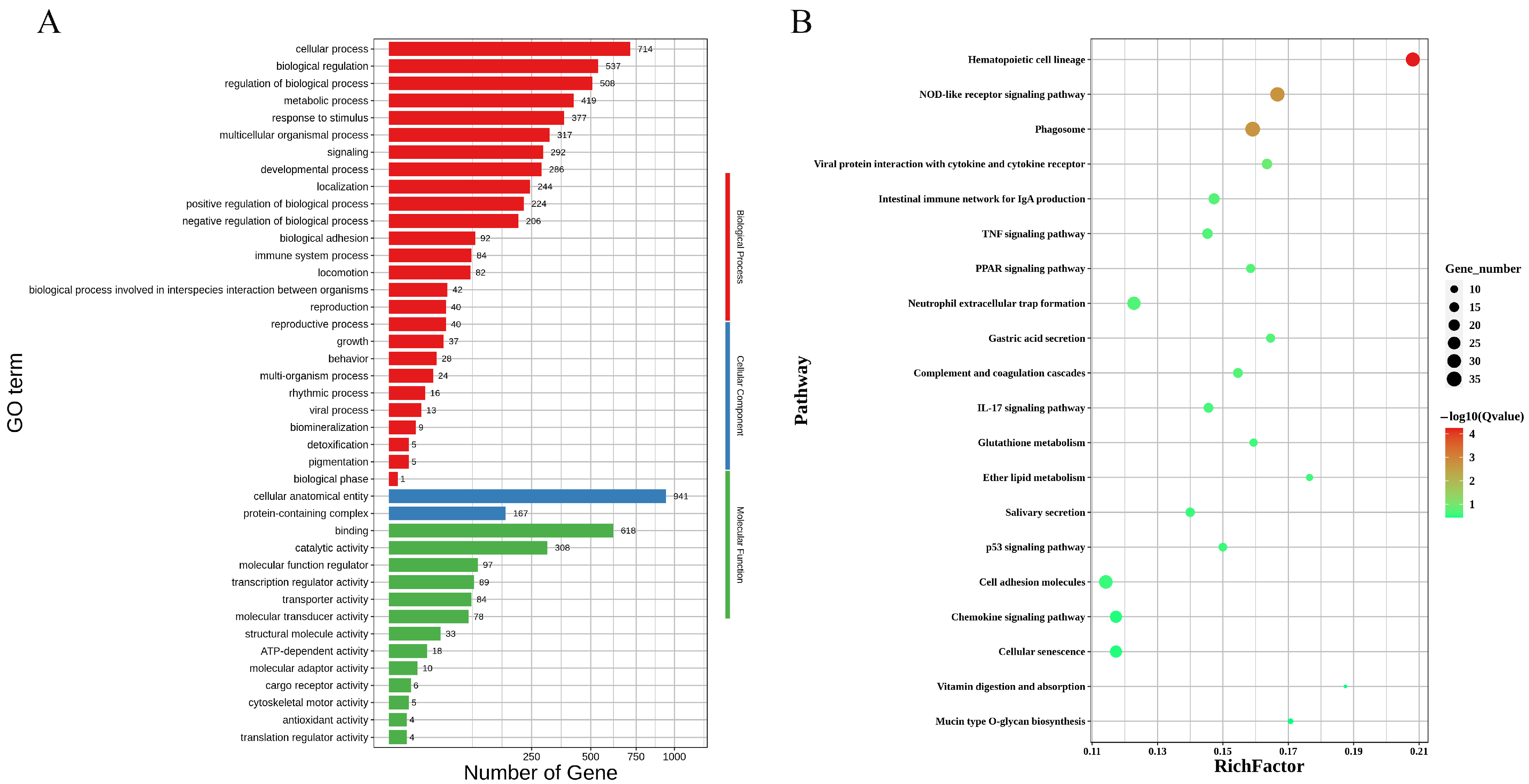 Genes 16 00181 g003 Genes 16 00181 g003