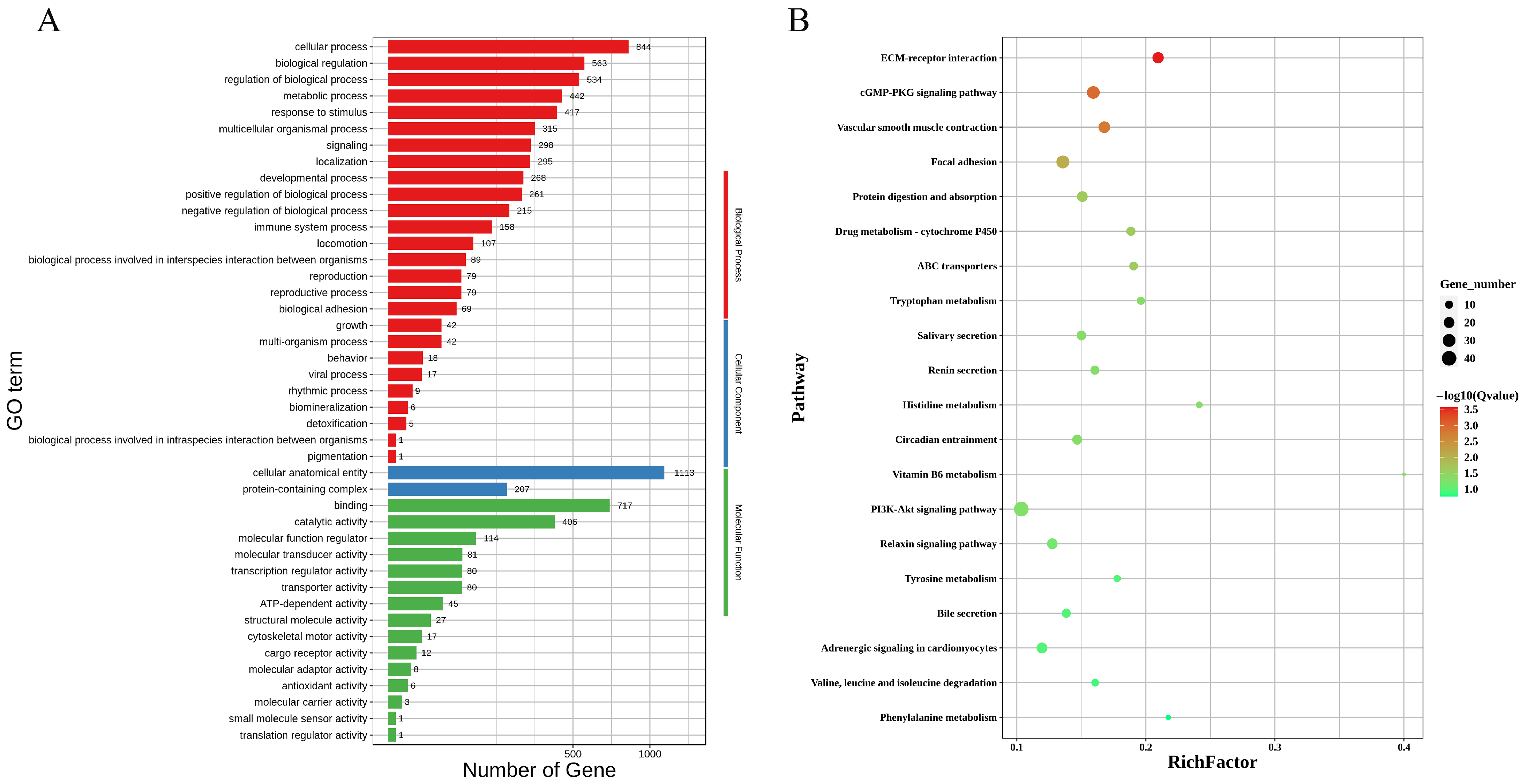Genes 16 00181 g004 Genes 16 00181 g004