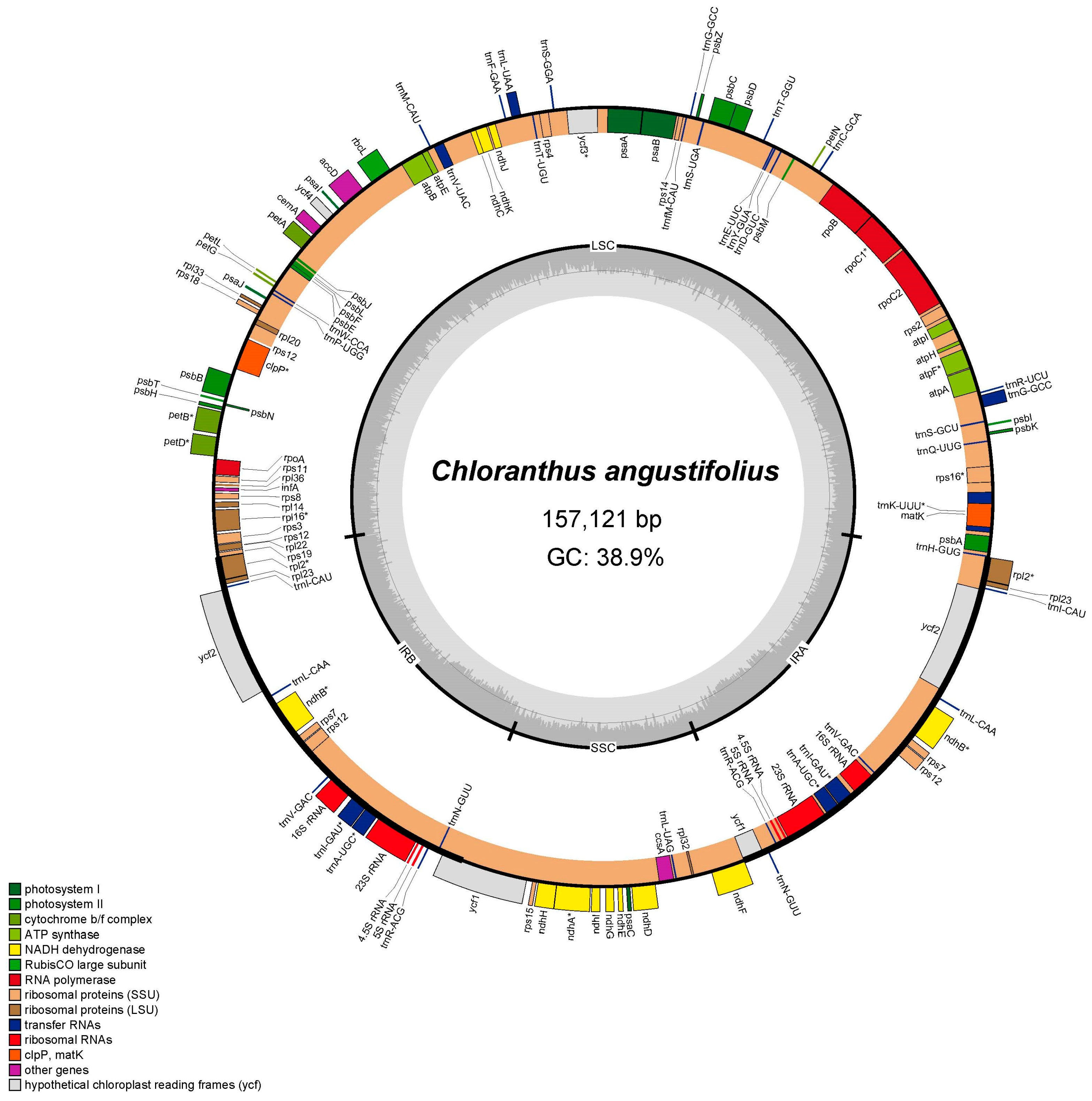 Genes 16 00186 g001