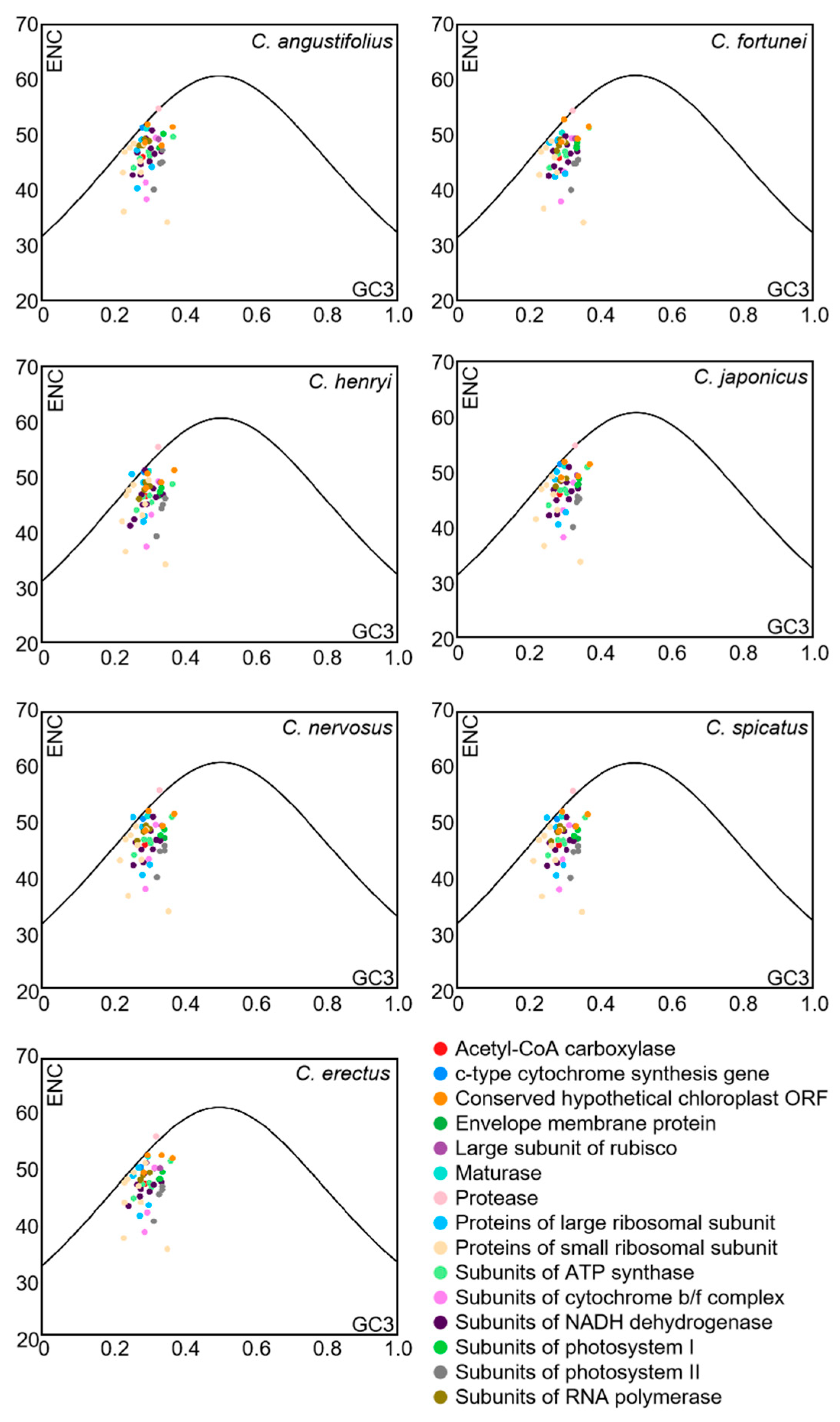 Genes 16 00186 g005