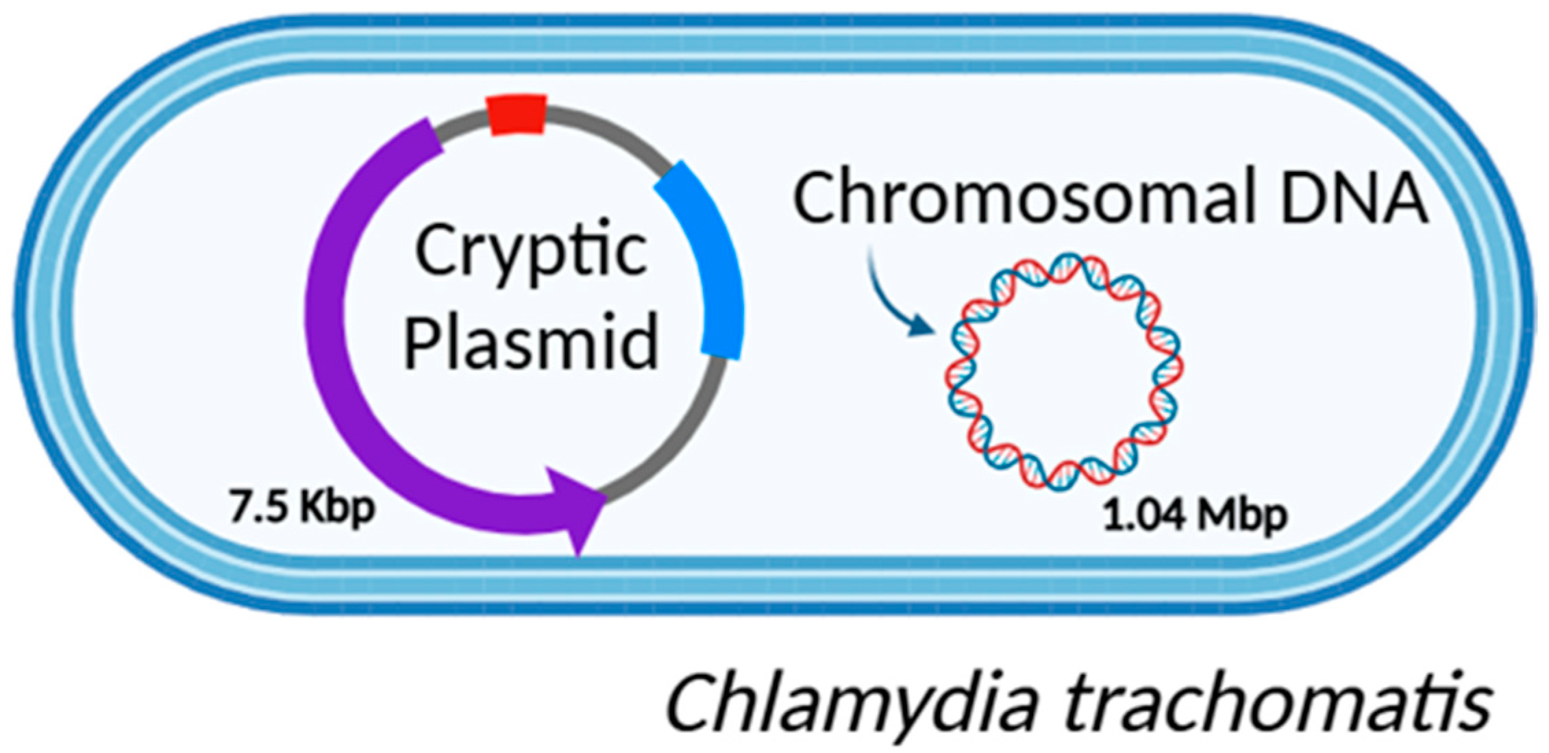 Genes 16 00205 g002 Genes 16 00205 g002