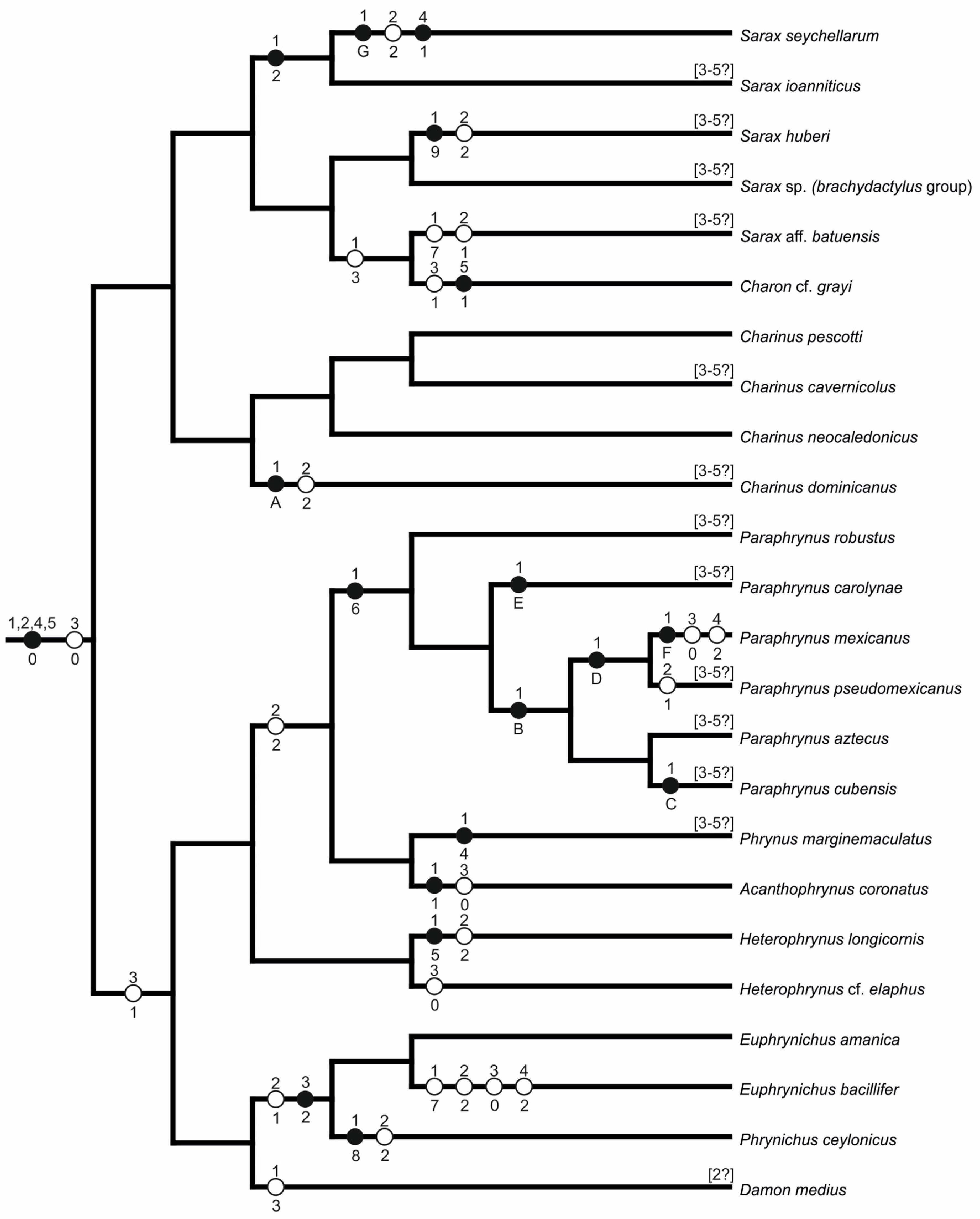 Genes 16 00207 g020 Genes 16 00207 g020