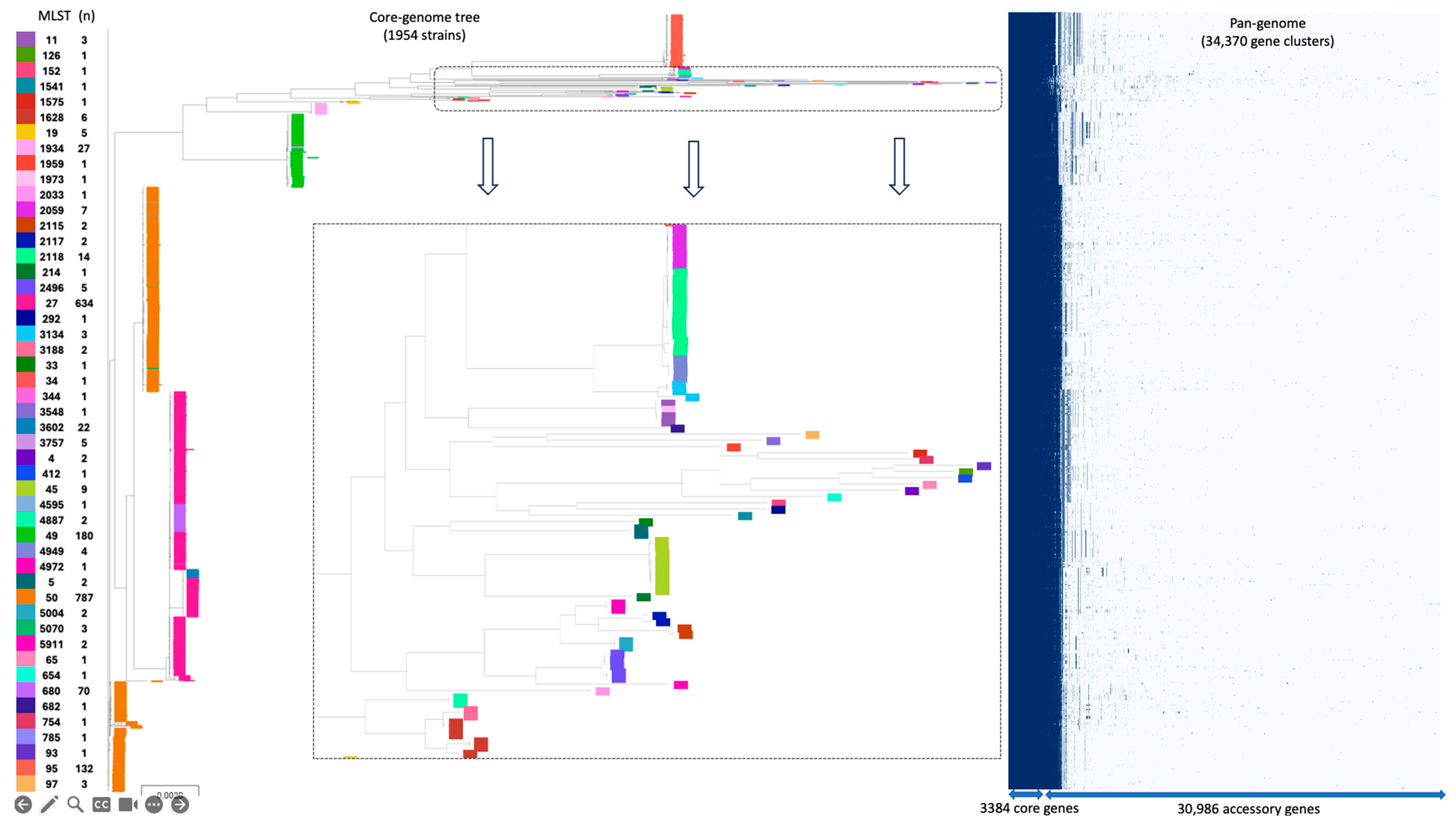 Genes 16 00254 g001 Genes 16 00254 g001